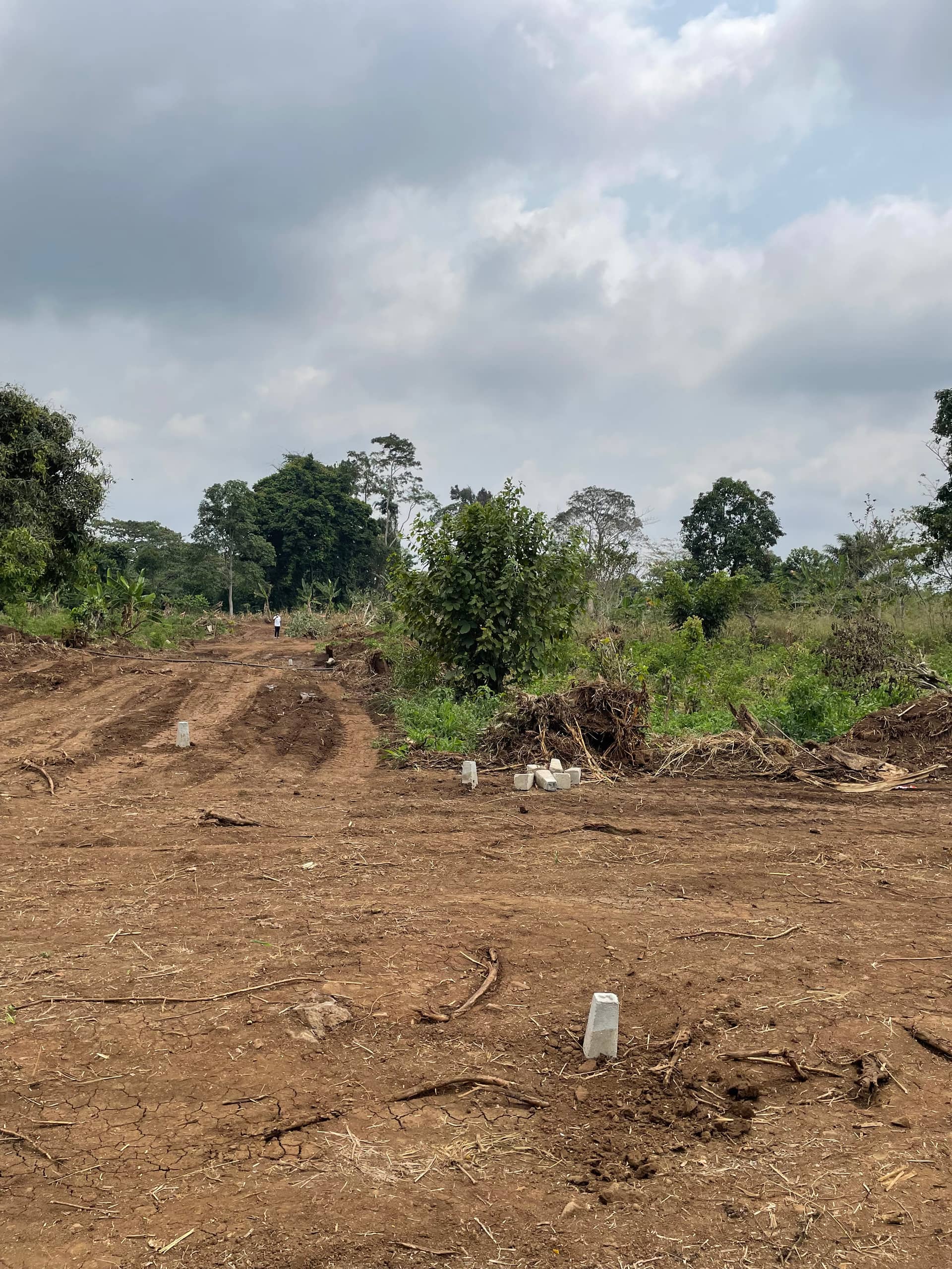 Land for sale at Sandpit Wojonku  — photo 3