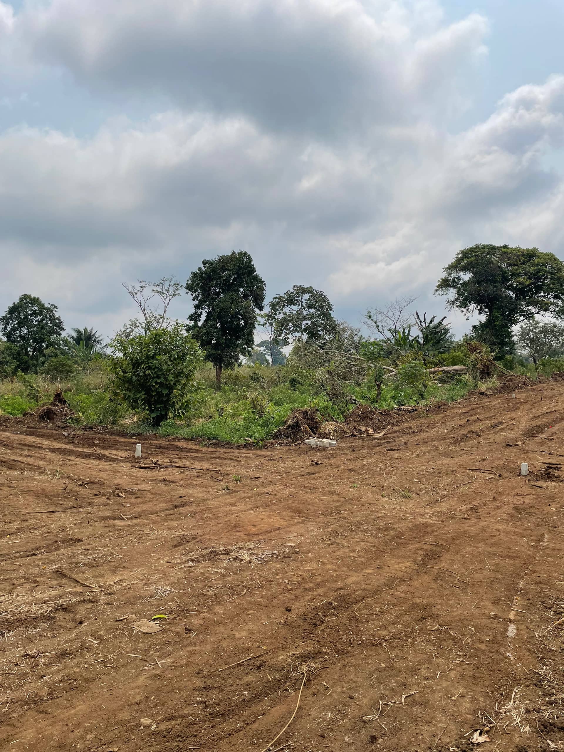 Land for sale at Sandpit Wojonku  — photo 4