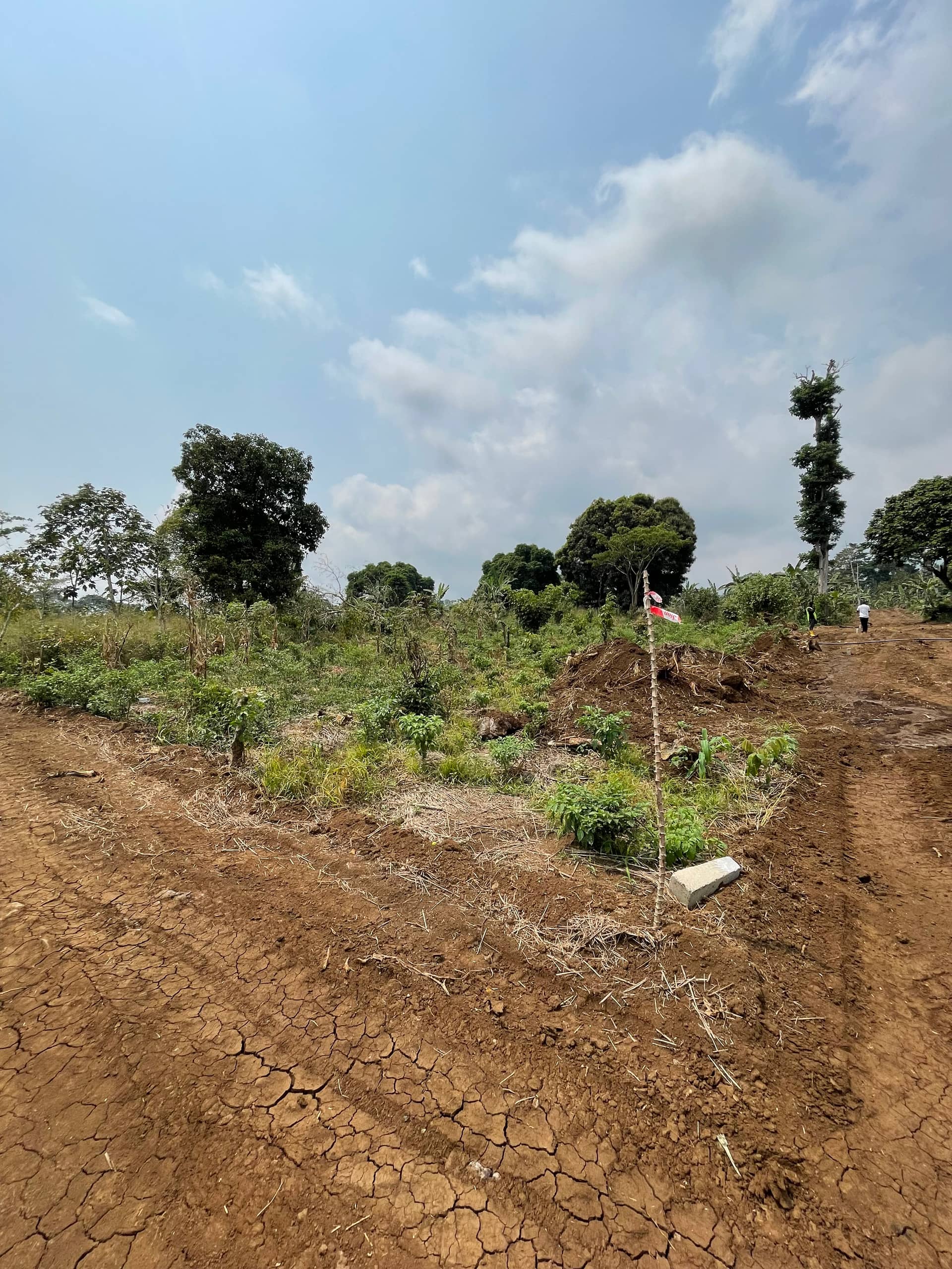 Land for sale at Sandpit Wojonku  — photo 5
