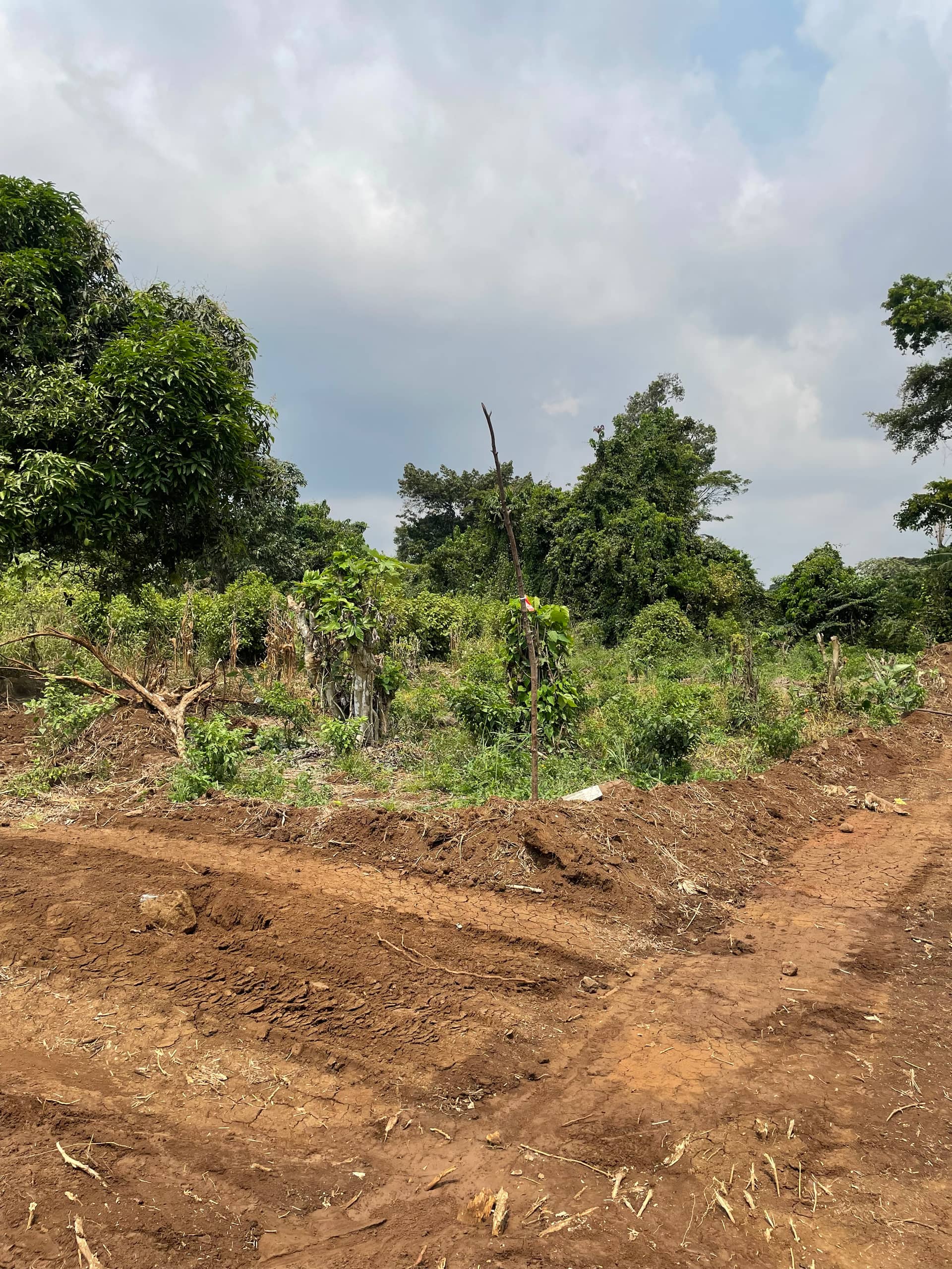 Land for sale at Sandpit Wojonku  — photo 6