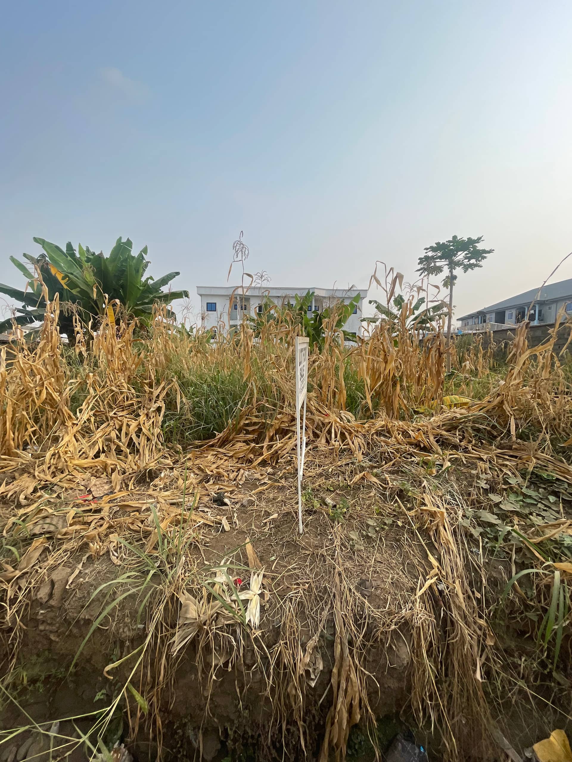 Land for Sale at St Luke Junction Buea  — photo 2
