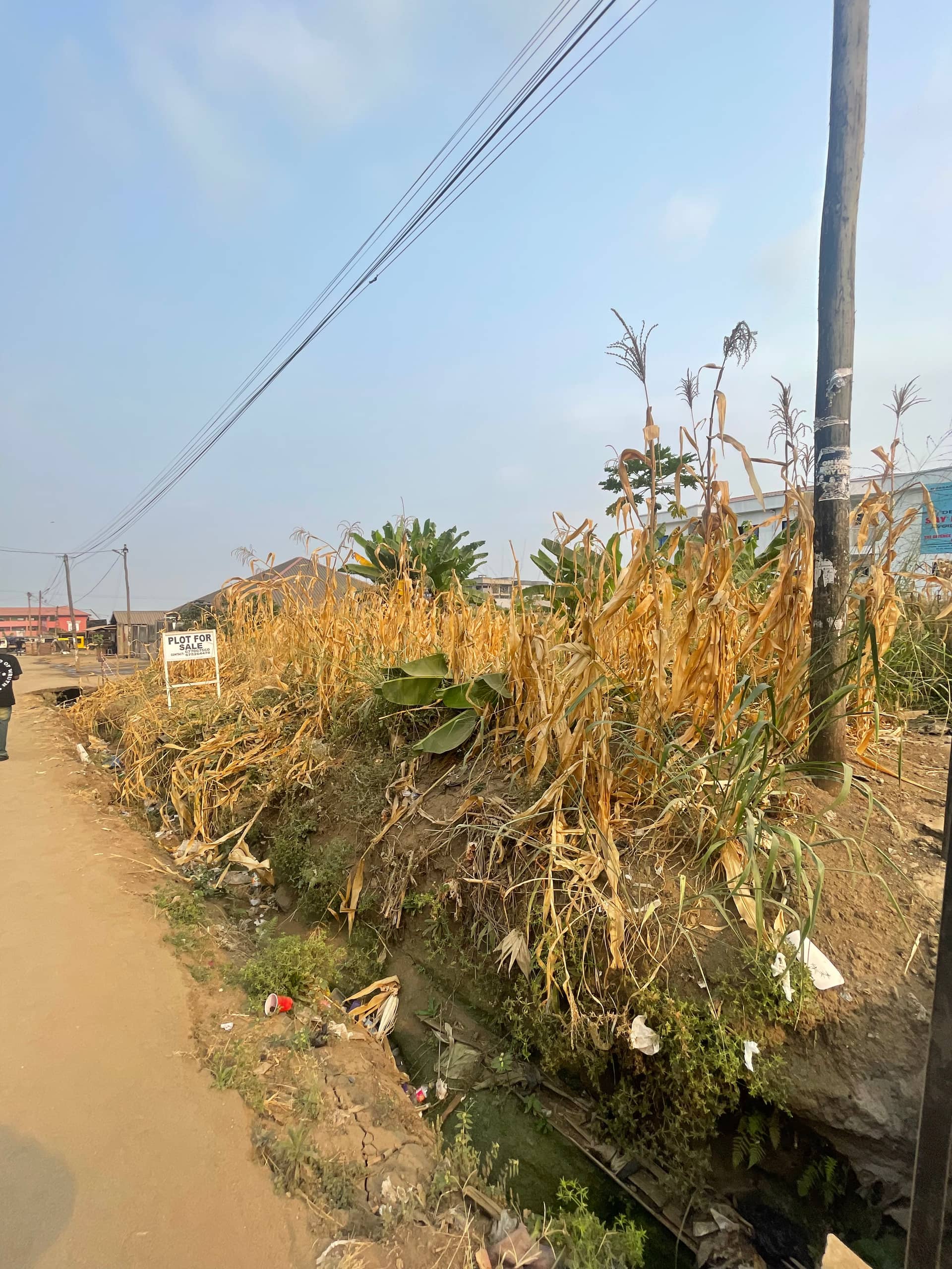 Land for Sale at St Luke Junction Buea  — photo 4