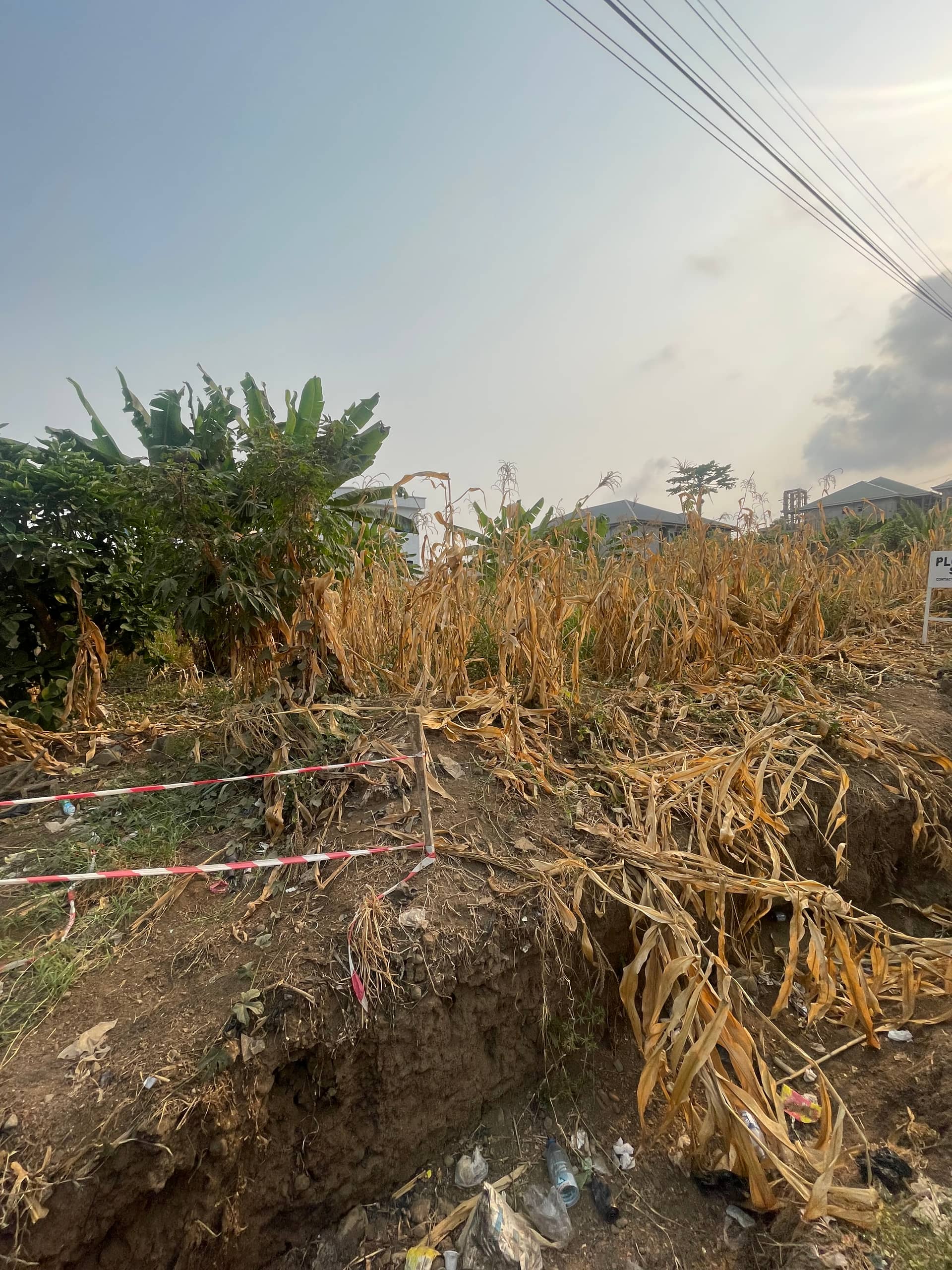 Land for Sale at St Luke Junction Buea  — photo 6