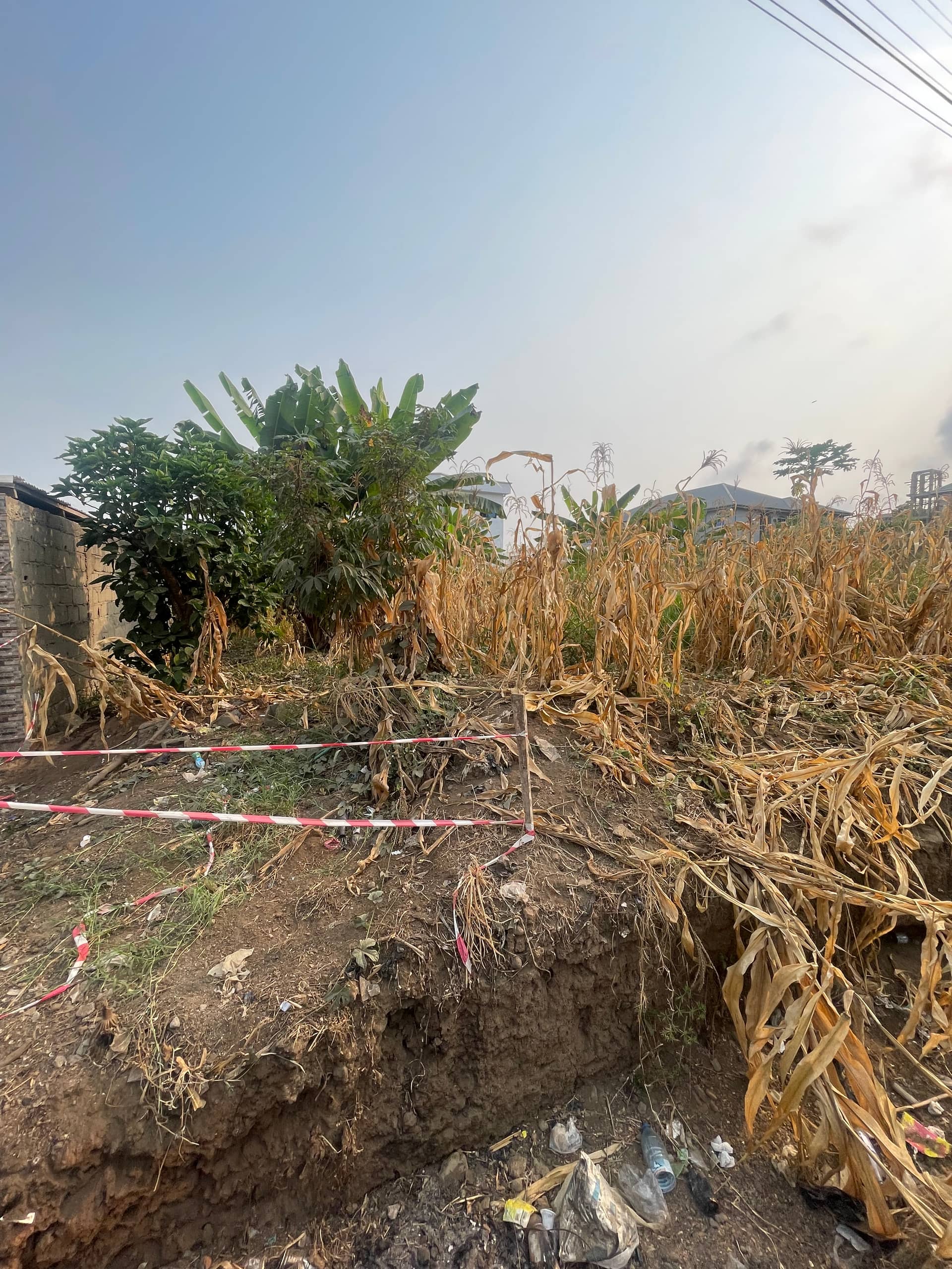 Land for Sale at St Luke Junction Buea  — photo 7