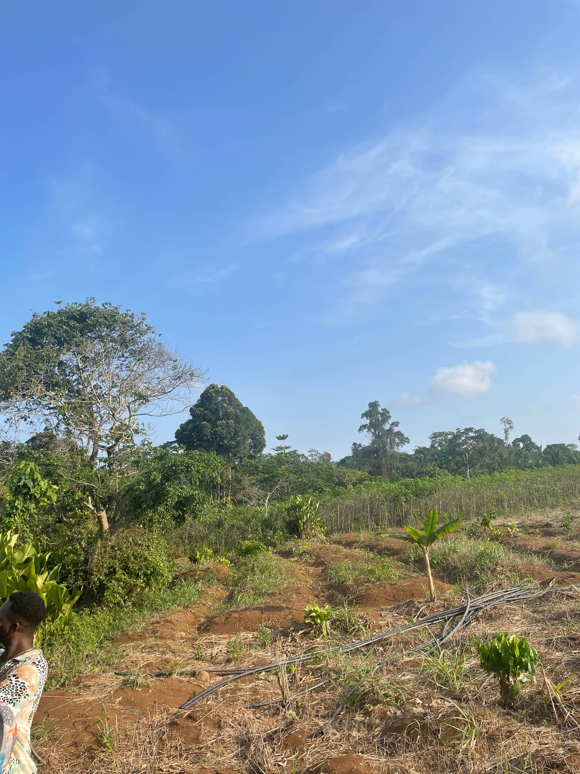 Cheap Land for sale at Mile 16 Buea 