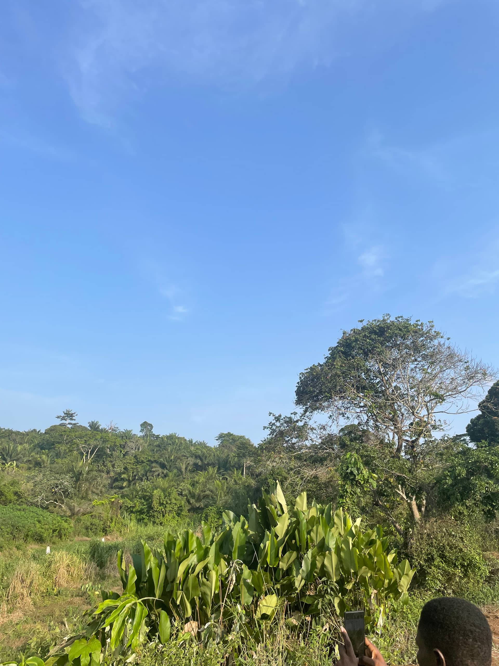 Cheap Land for sale at Mile 16 Buea  — photo 2