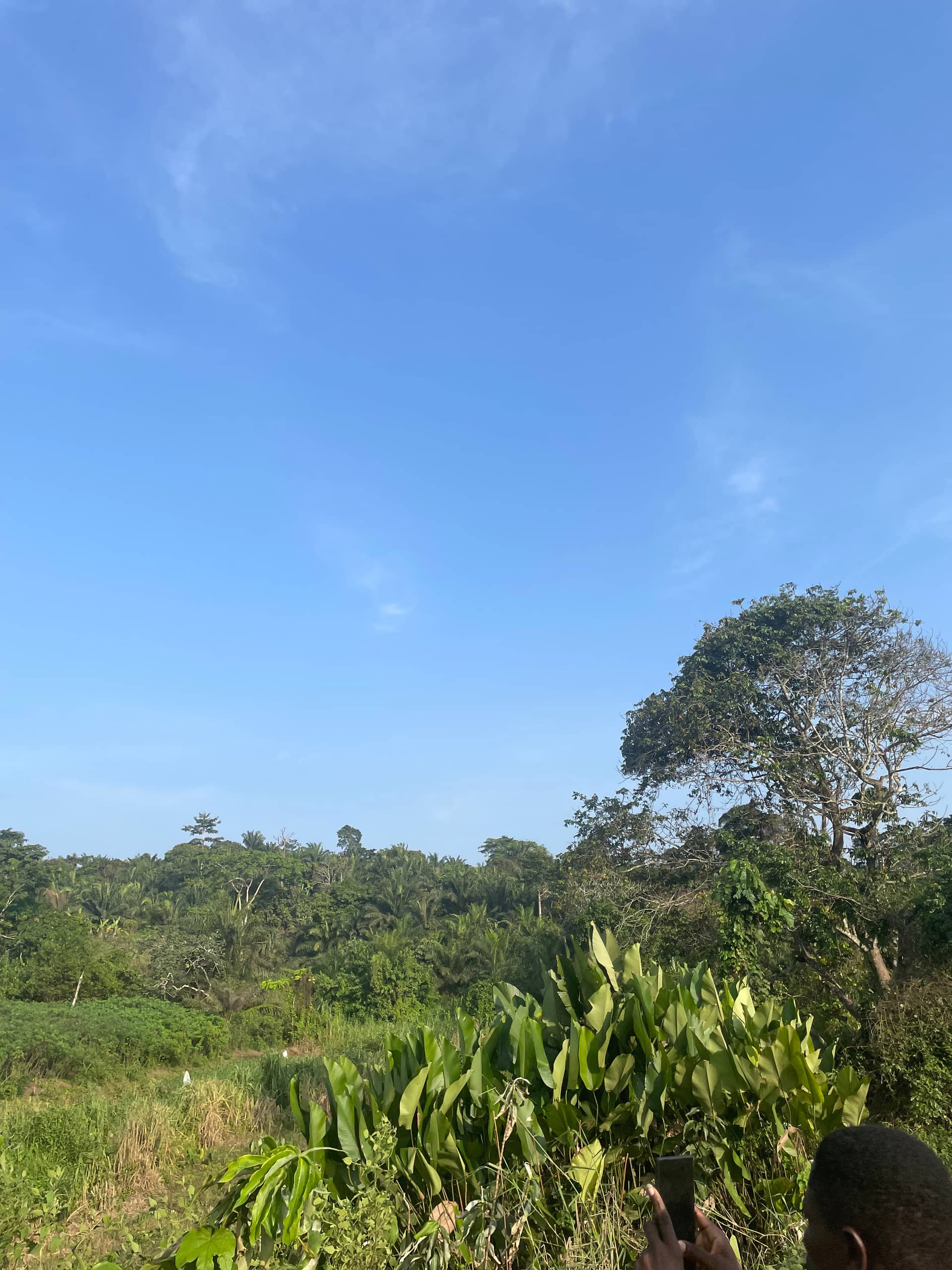 Cheap Land for sale at Mile 16 Buea  — photo 4