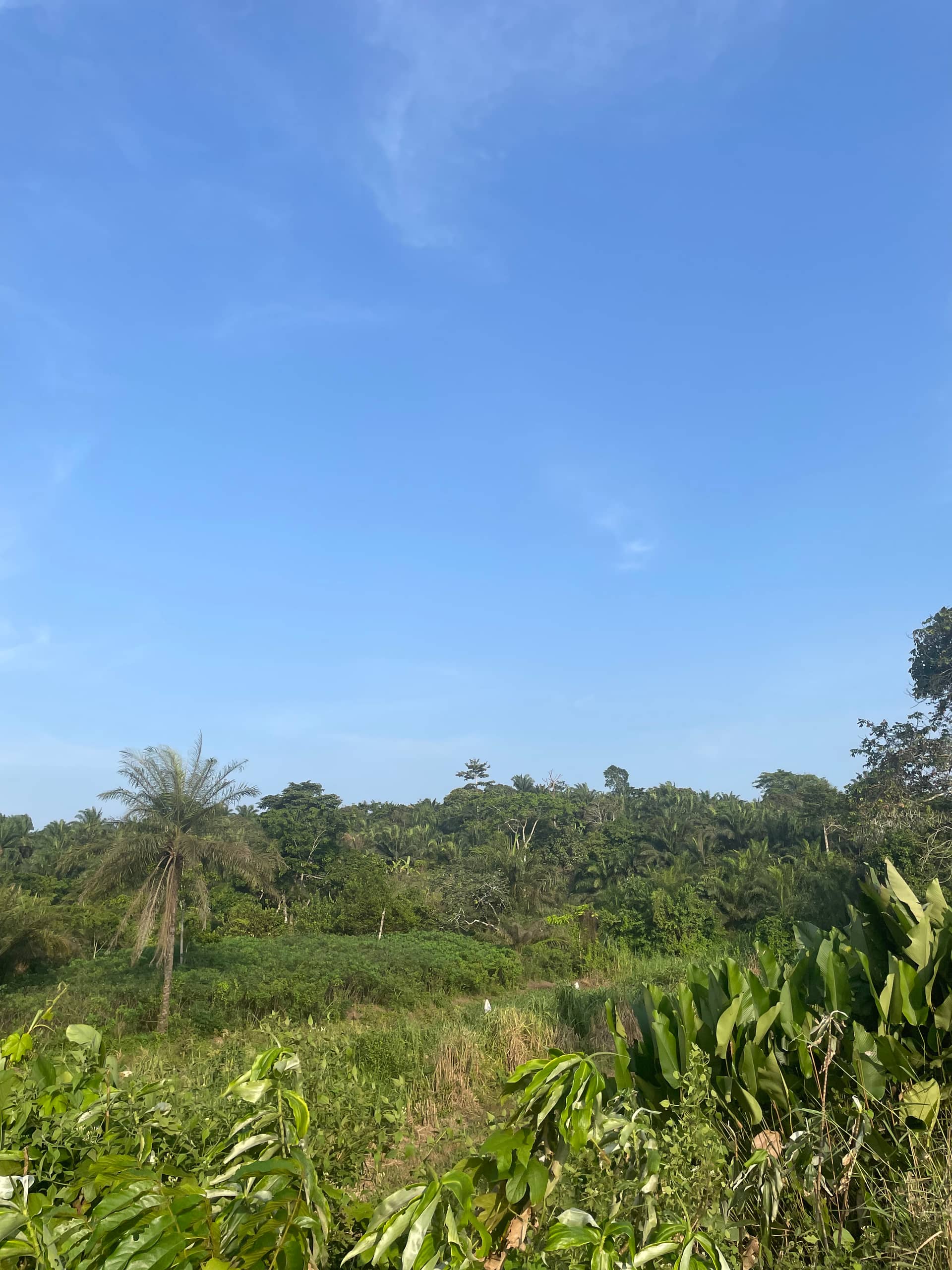 Cheap Land for sale at Mile 16 Buea  — photo 6