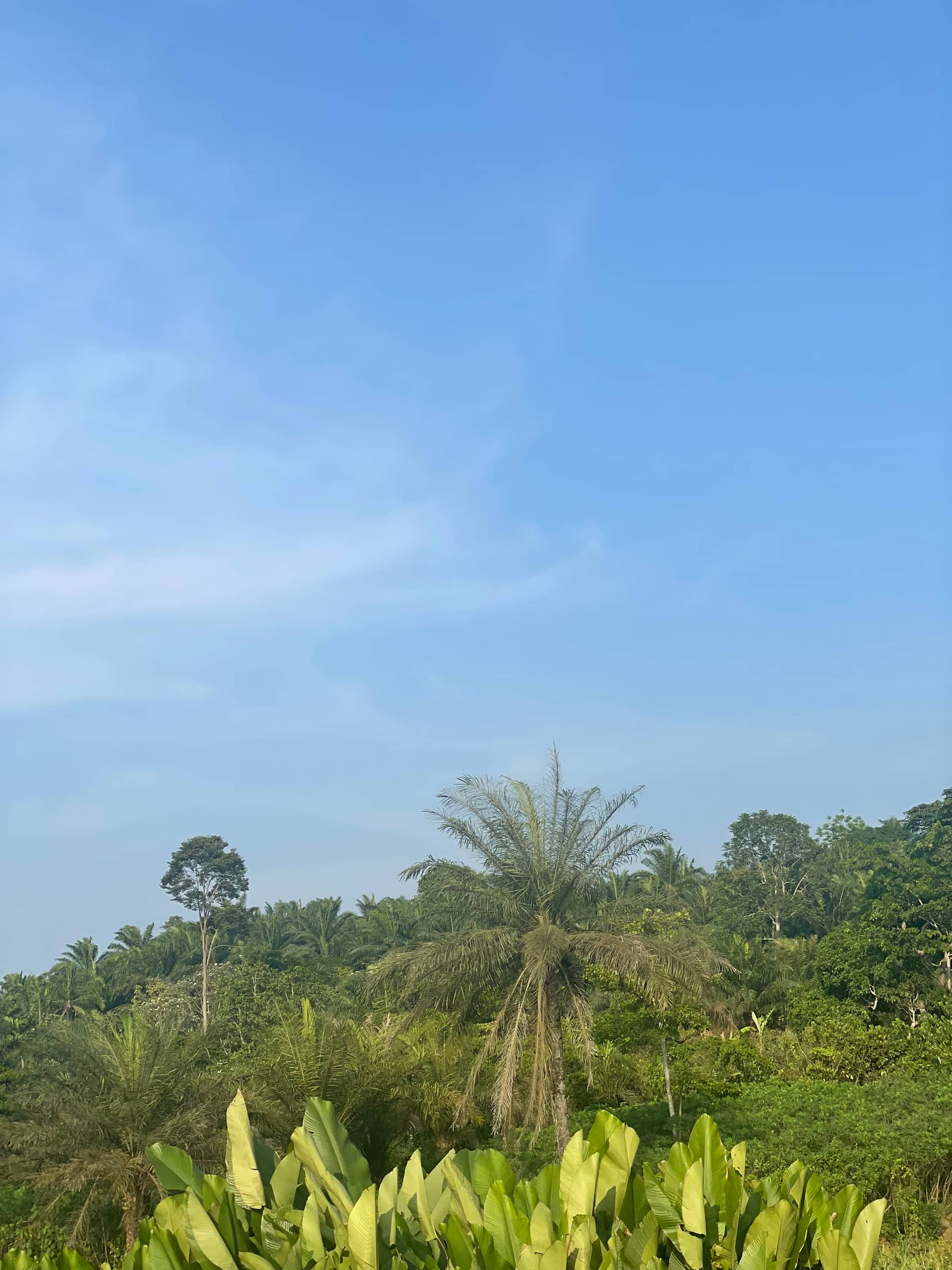 Cheap Land for sale at Mile 16 Buea  — photo 7