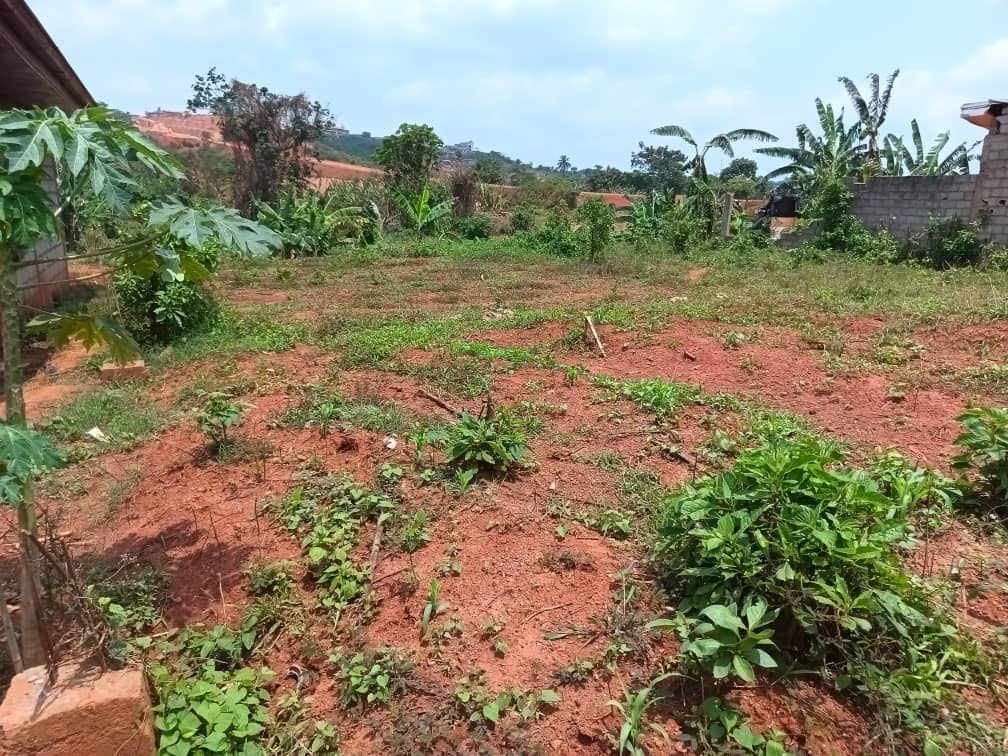 Residential plot areas 250m2  — photo 2