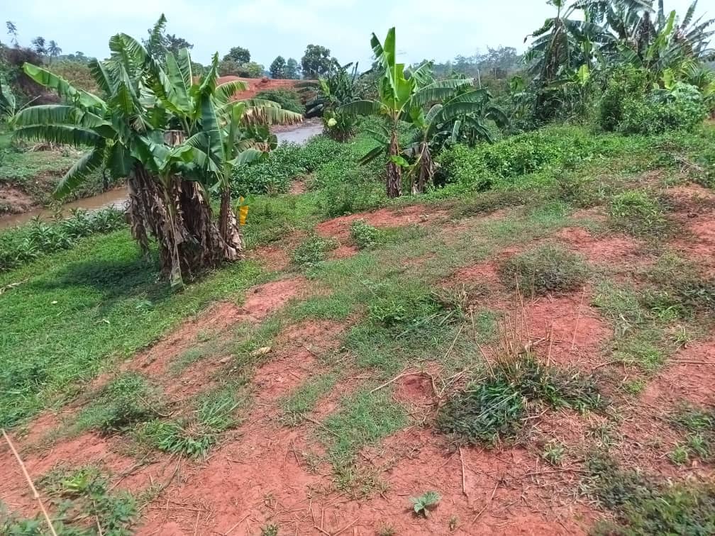 Residential plot areas 250m2  — photo 3