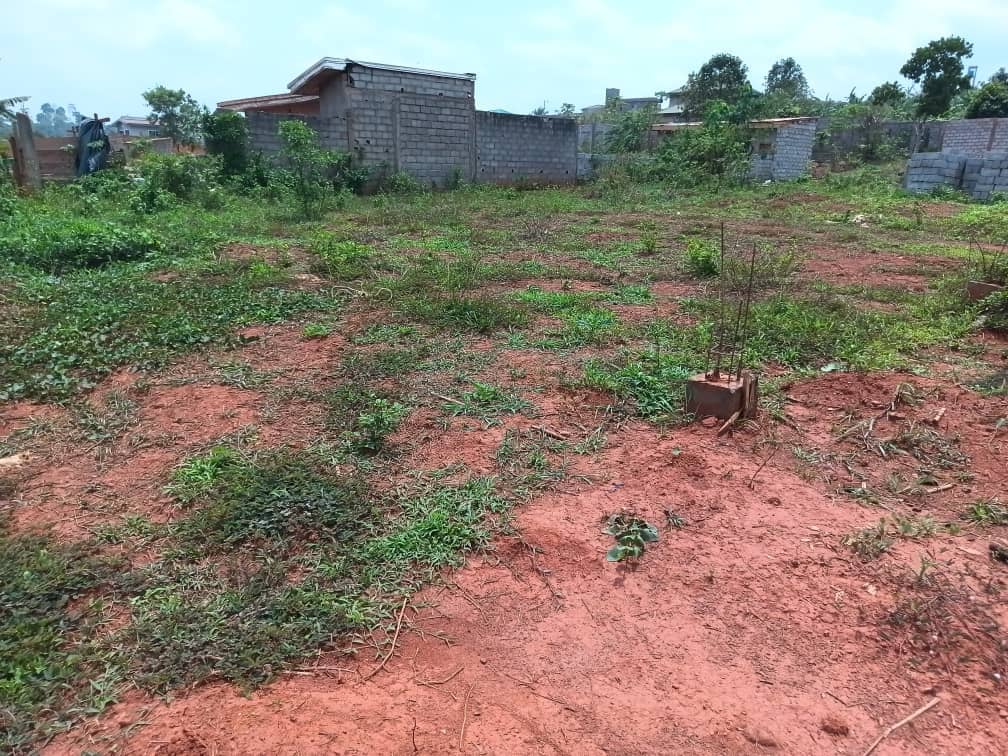 Residential plot areas 250m2  — photo 4