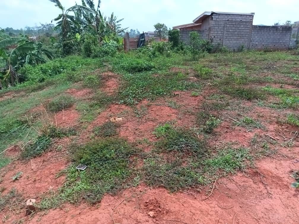 Residential plot areas 250m2  — photo 5