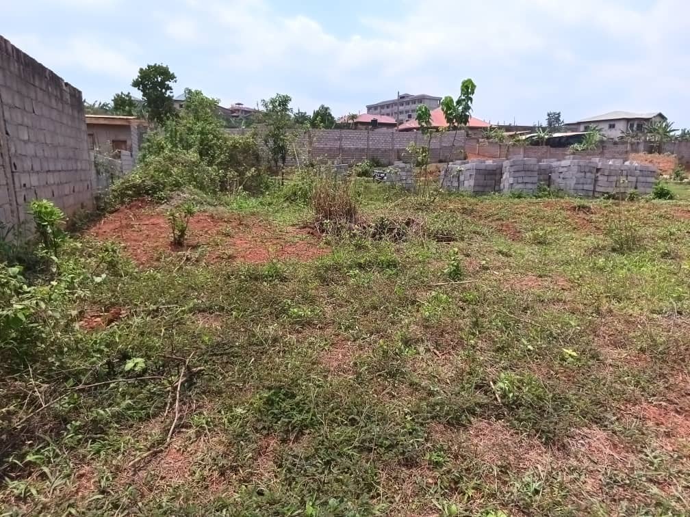 Residential plot areas 250m2  — photo 6