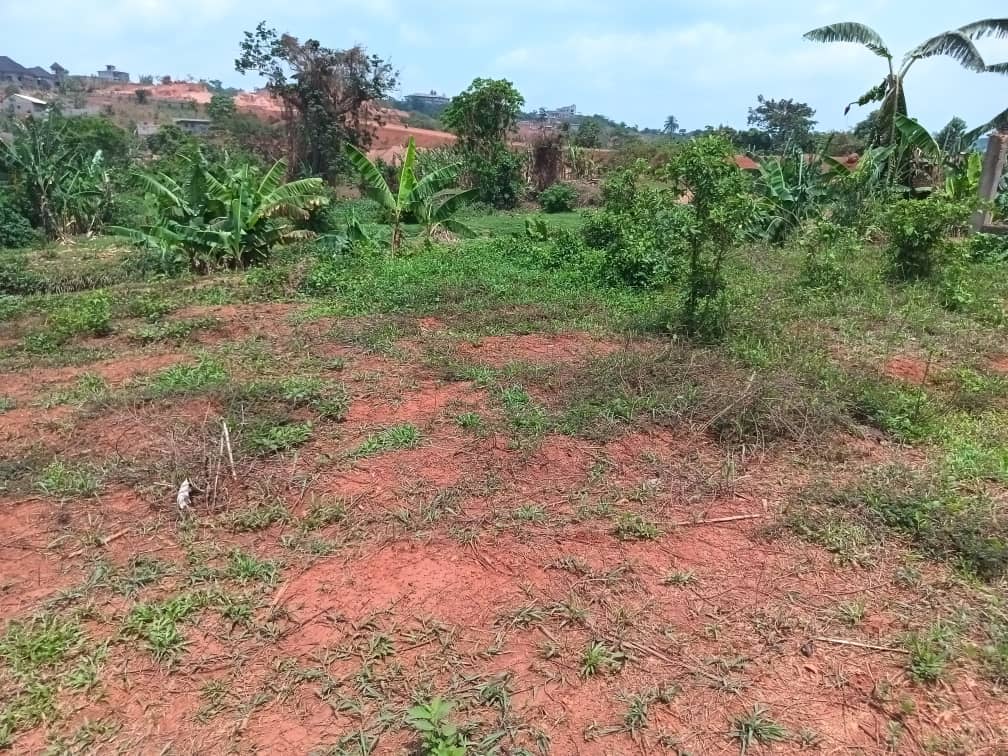 Residential plot areas 250m2  — photo 7