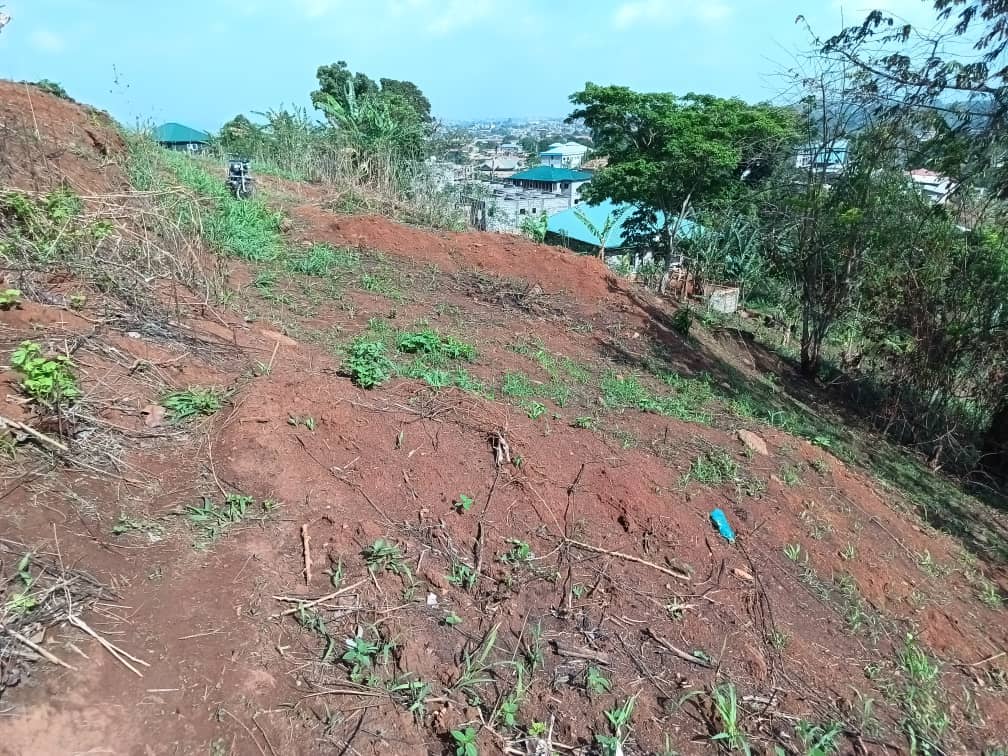 terrain a vendre