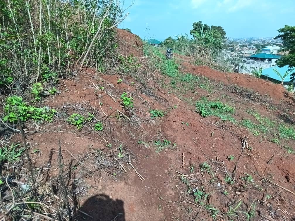 terrain a vendre — photo 2