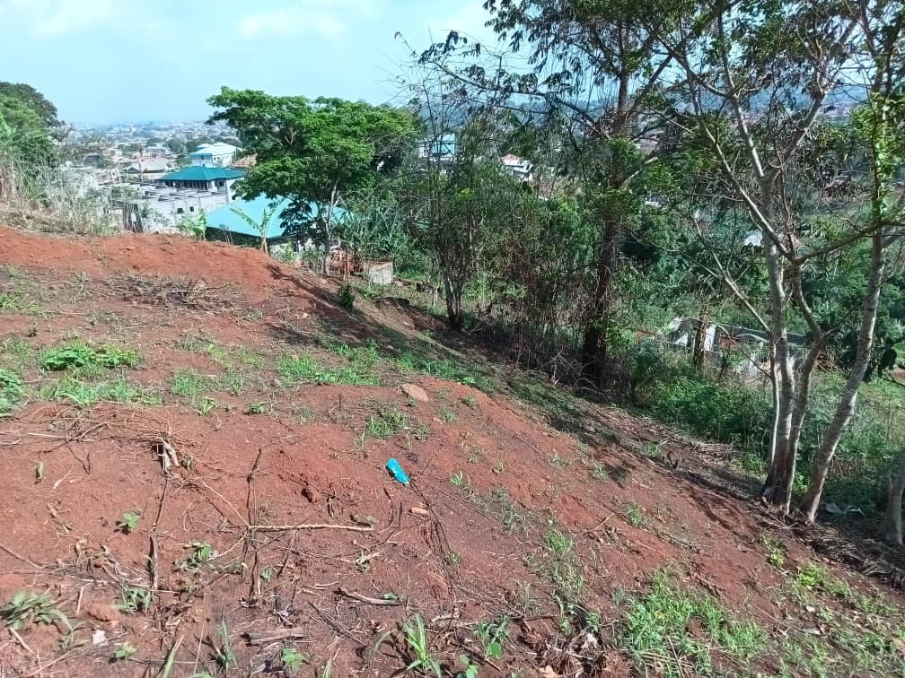 terrain a vendre — photo 3
