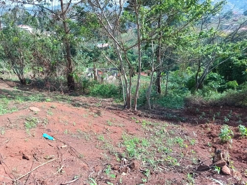 terrain a vendre — photo 4
