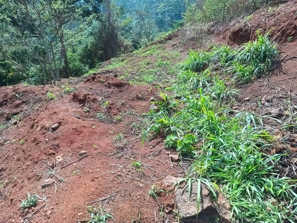 terrain a vendre — photo 6