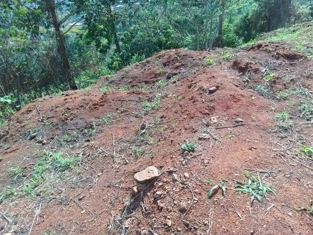 terrain a vendre — photo 7