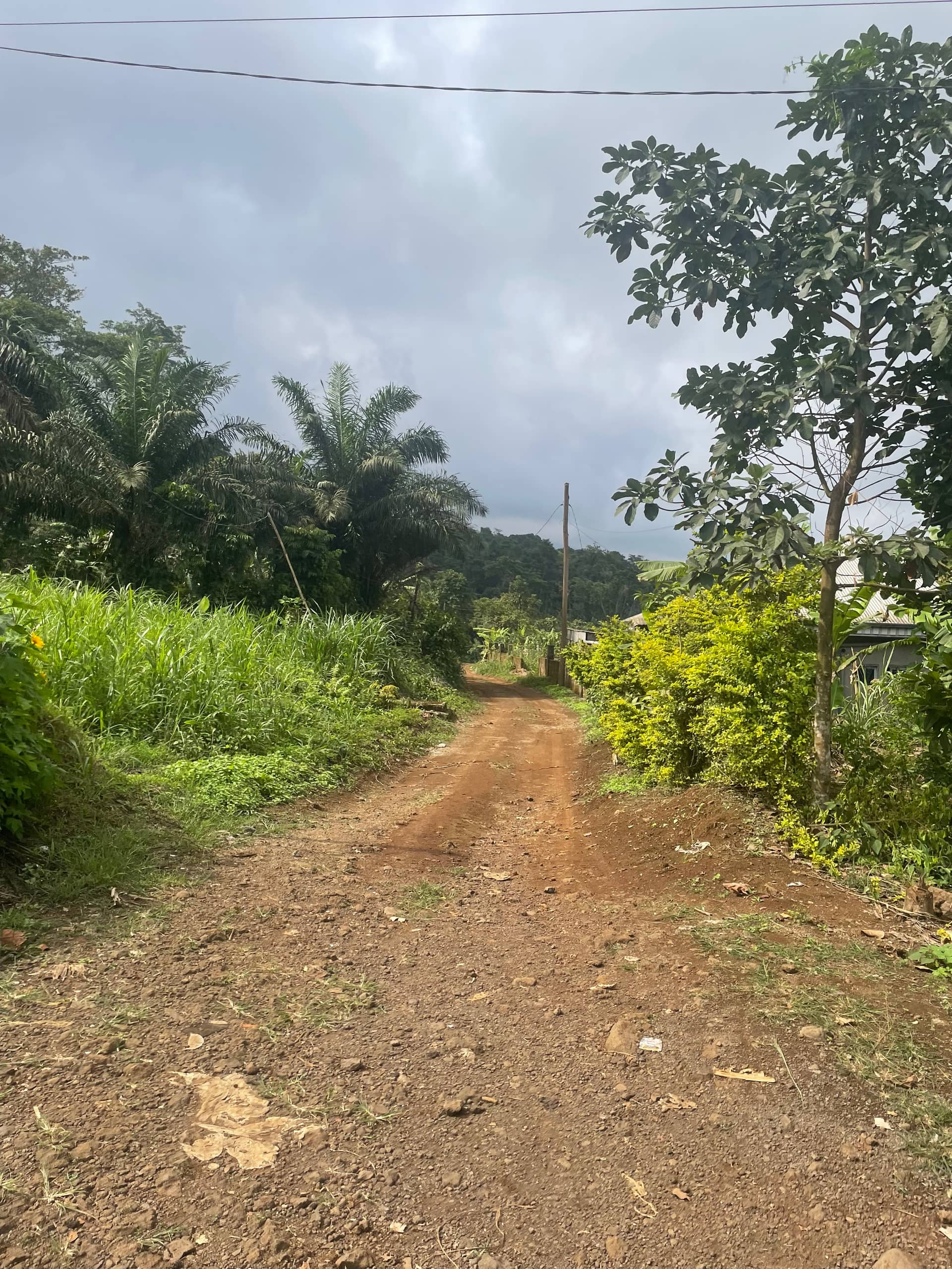 Prime land for sale in Buea Town 