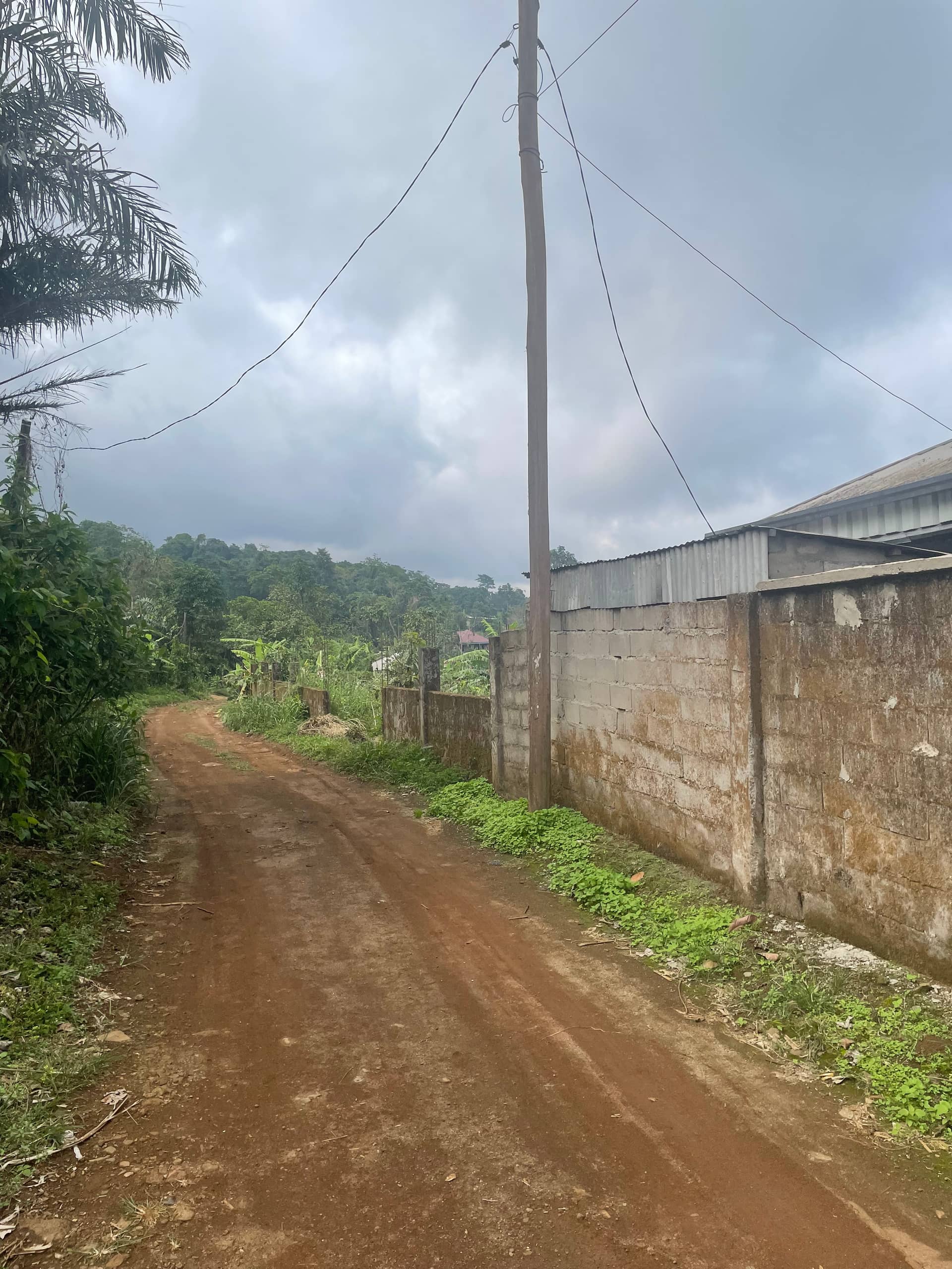 Prime land for sale in Buea Town  — photo 2