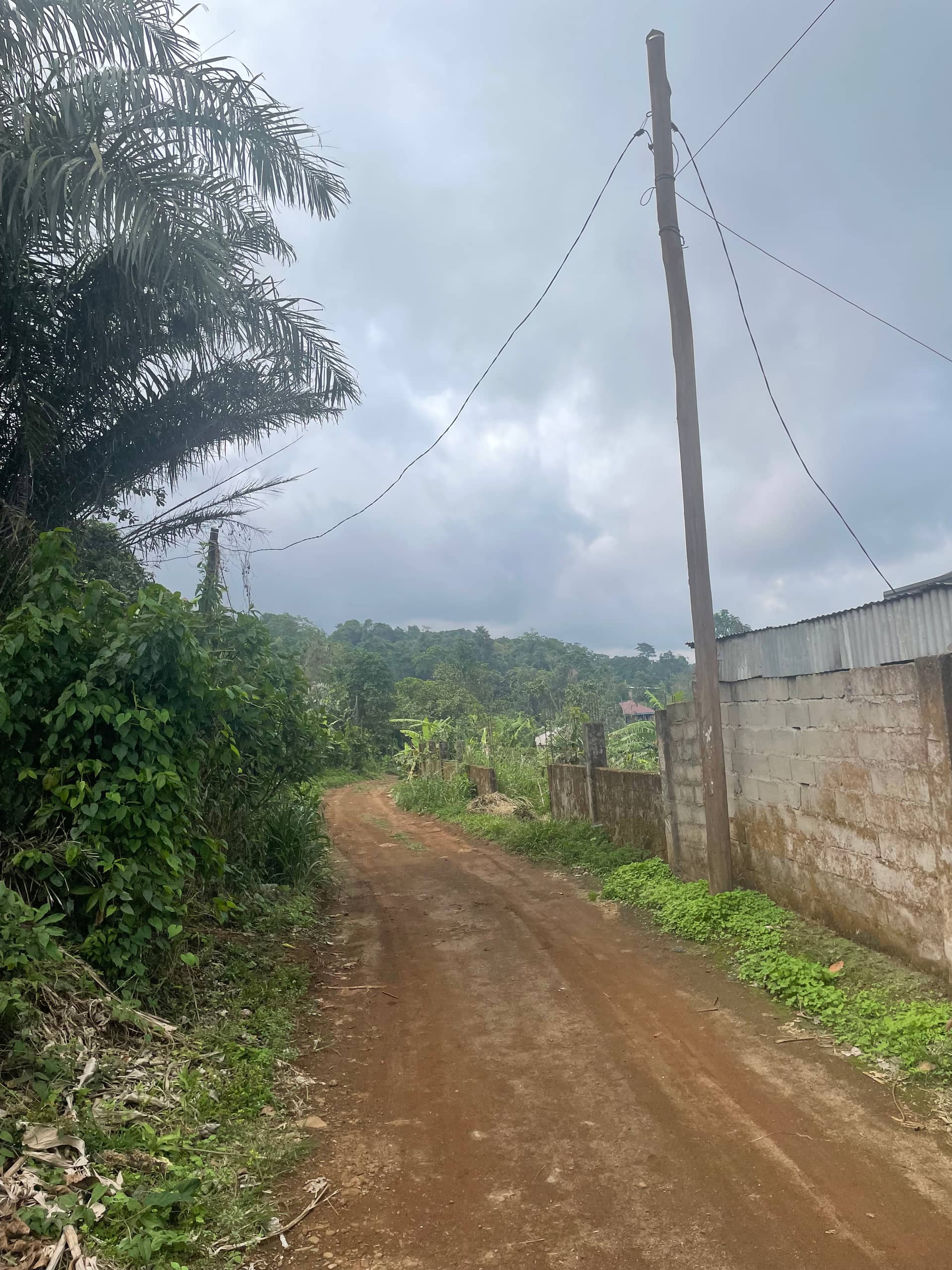 Prime land for sale in Buea Town  — photo 3