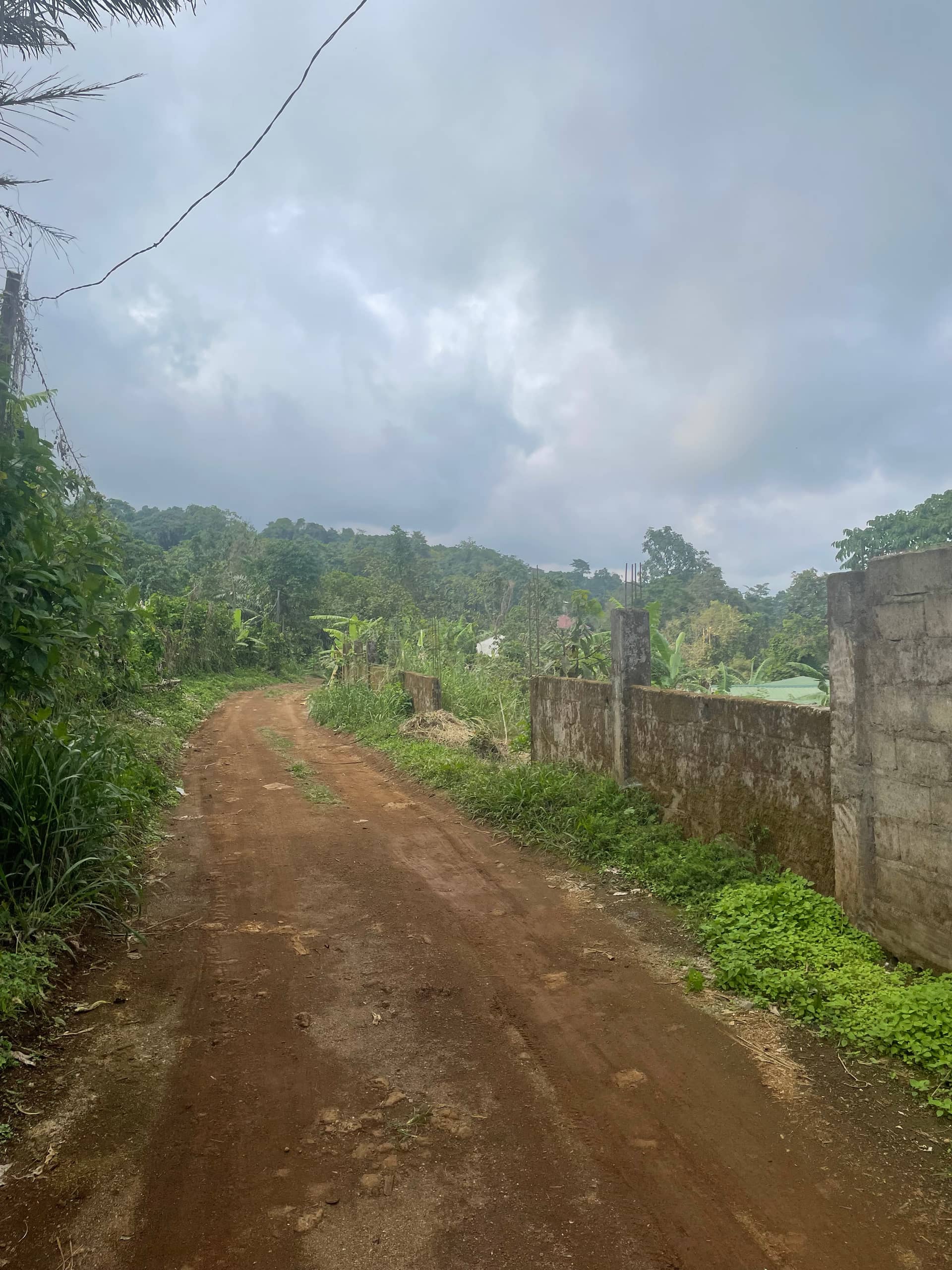 Prime land for sale in Buea Town  — photo 4