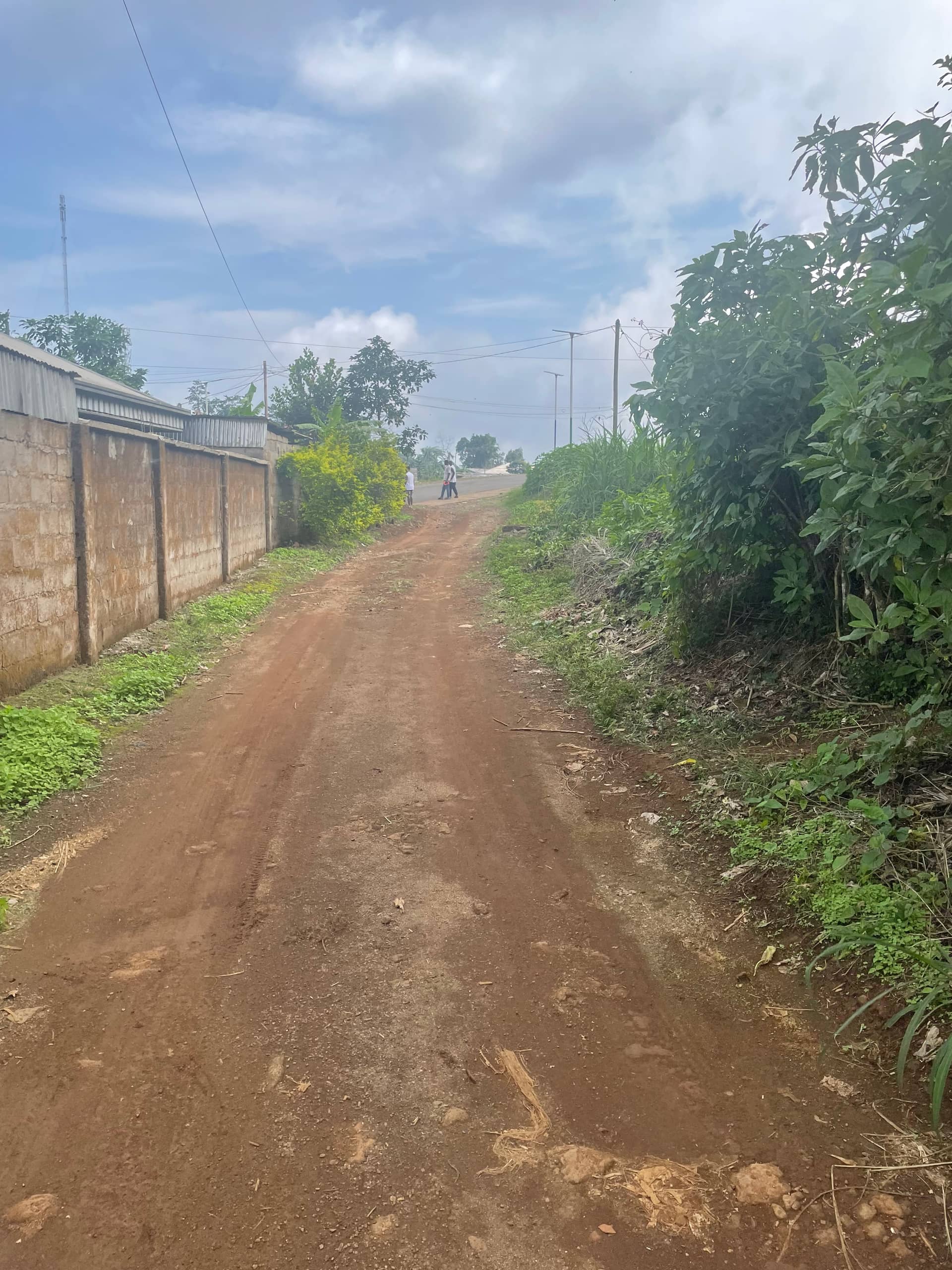 Prime land for sale in Buea Town  — photo 5