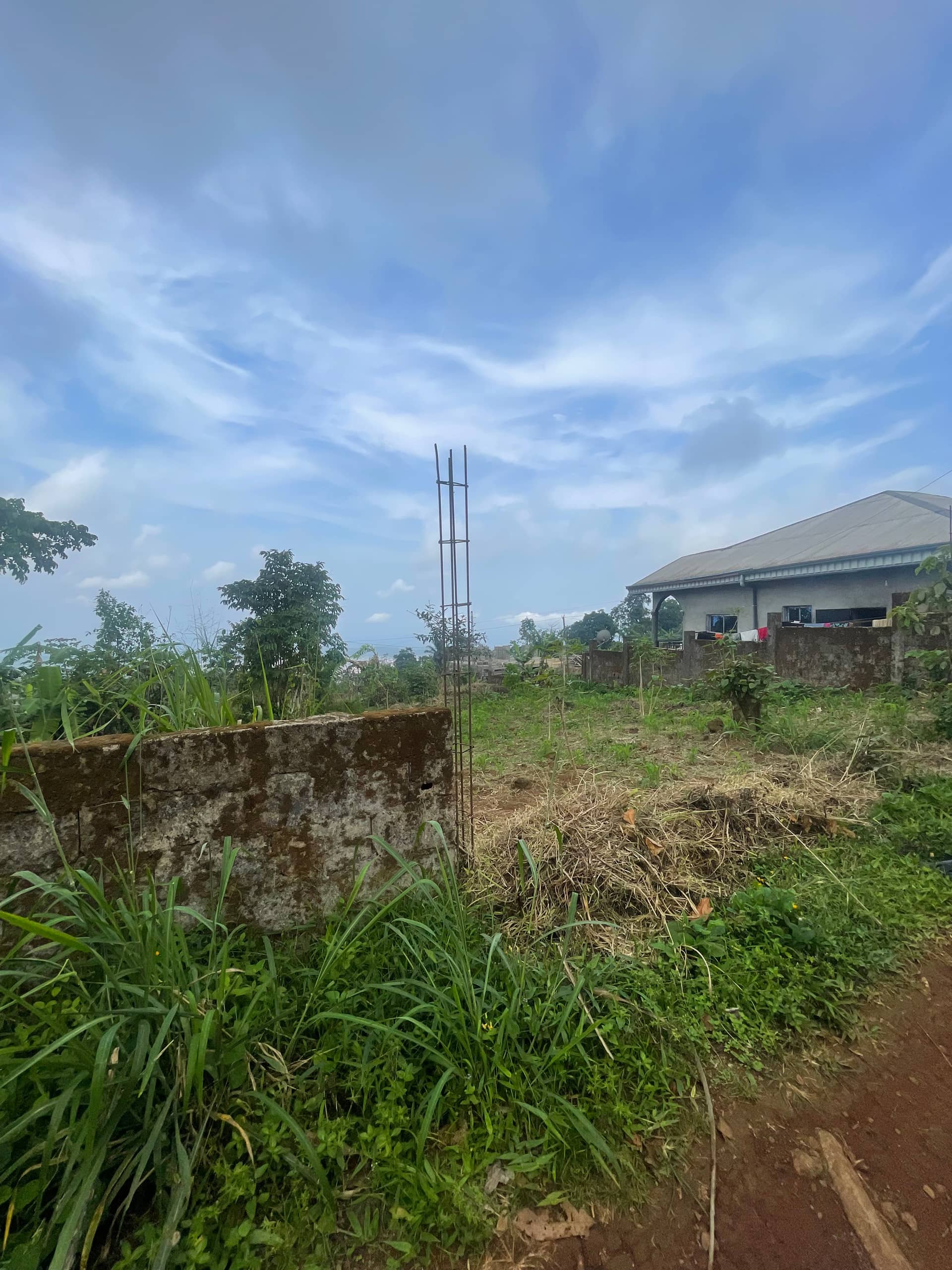 Prime land for sale in Buea Town  — photo 6