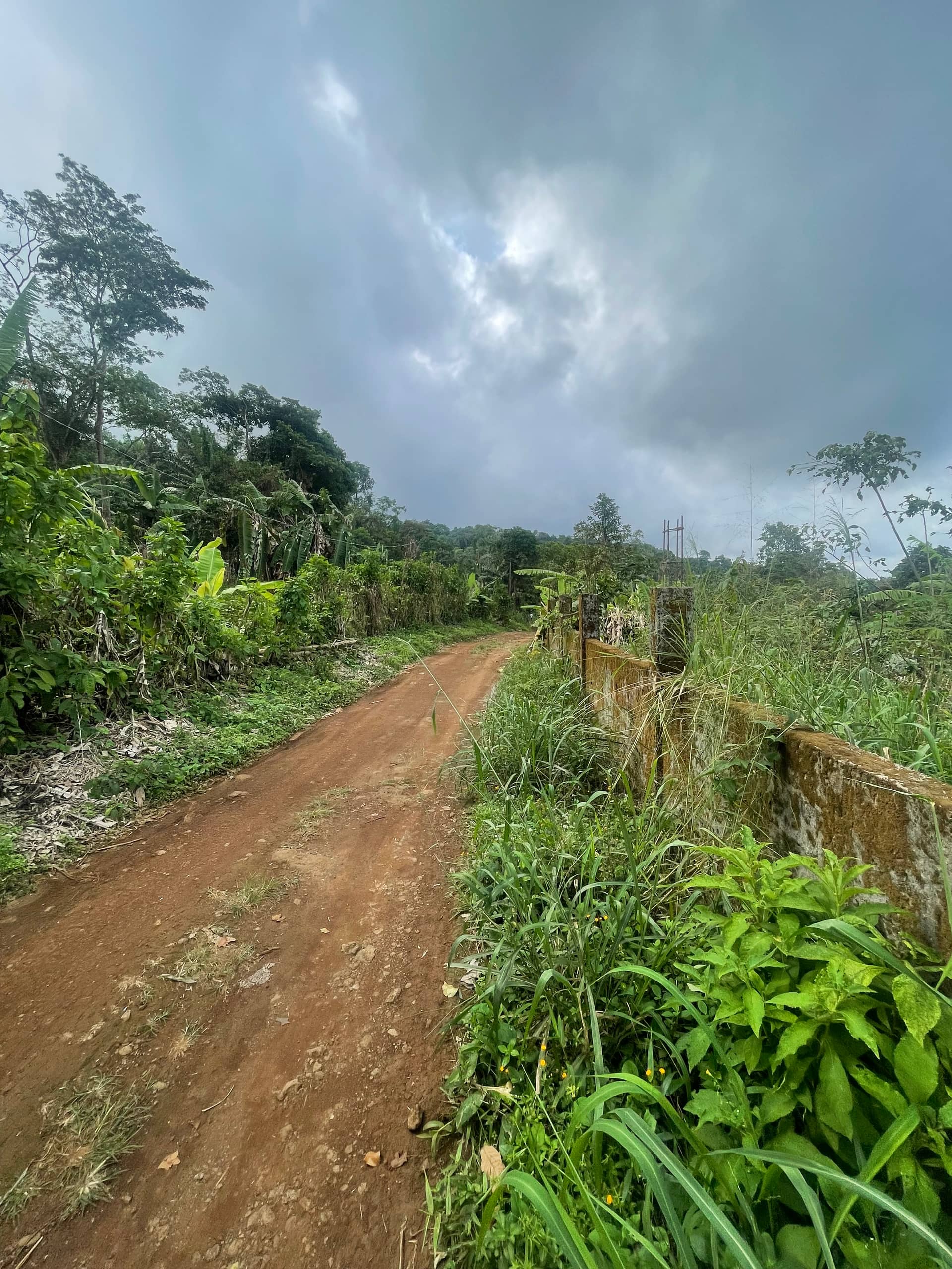 Prime land for sale in Buea Town  — photo 7