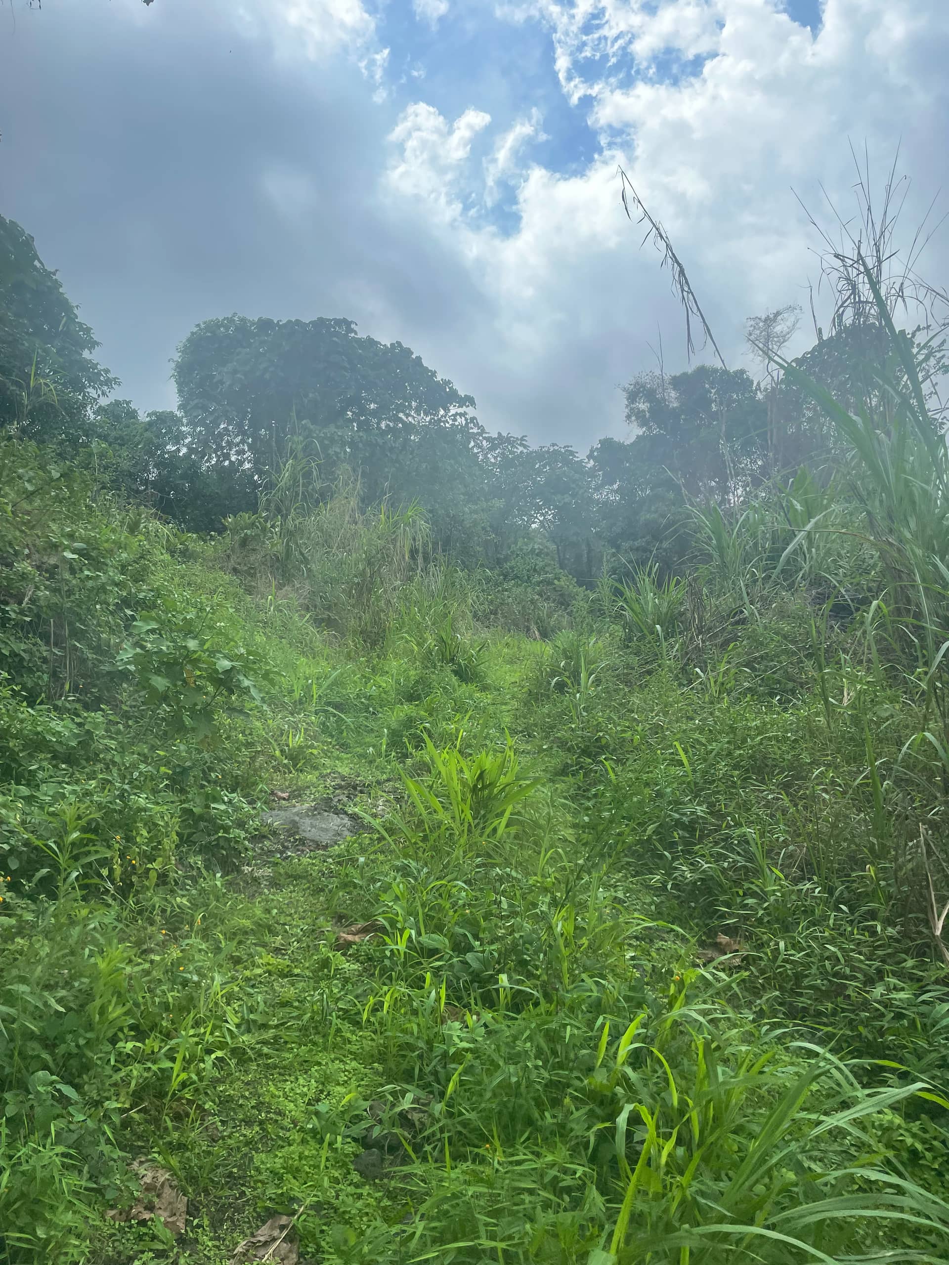 Cheap strategic land for sale in Bova Buea  — photo 2