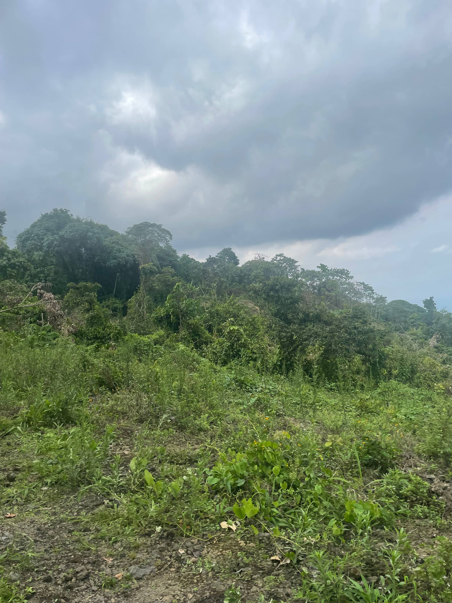 Cheap strategic land for sale in Bova Buea  — photo 3