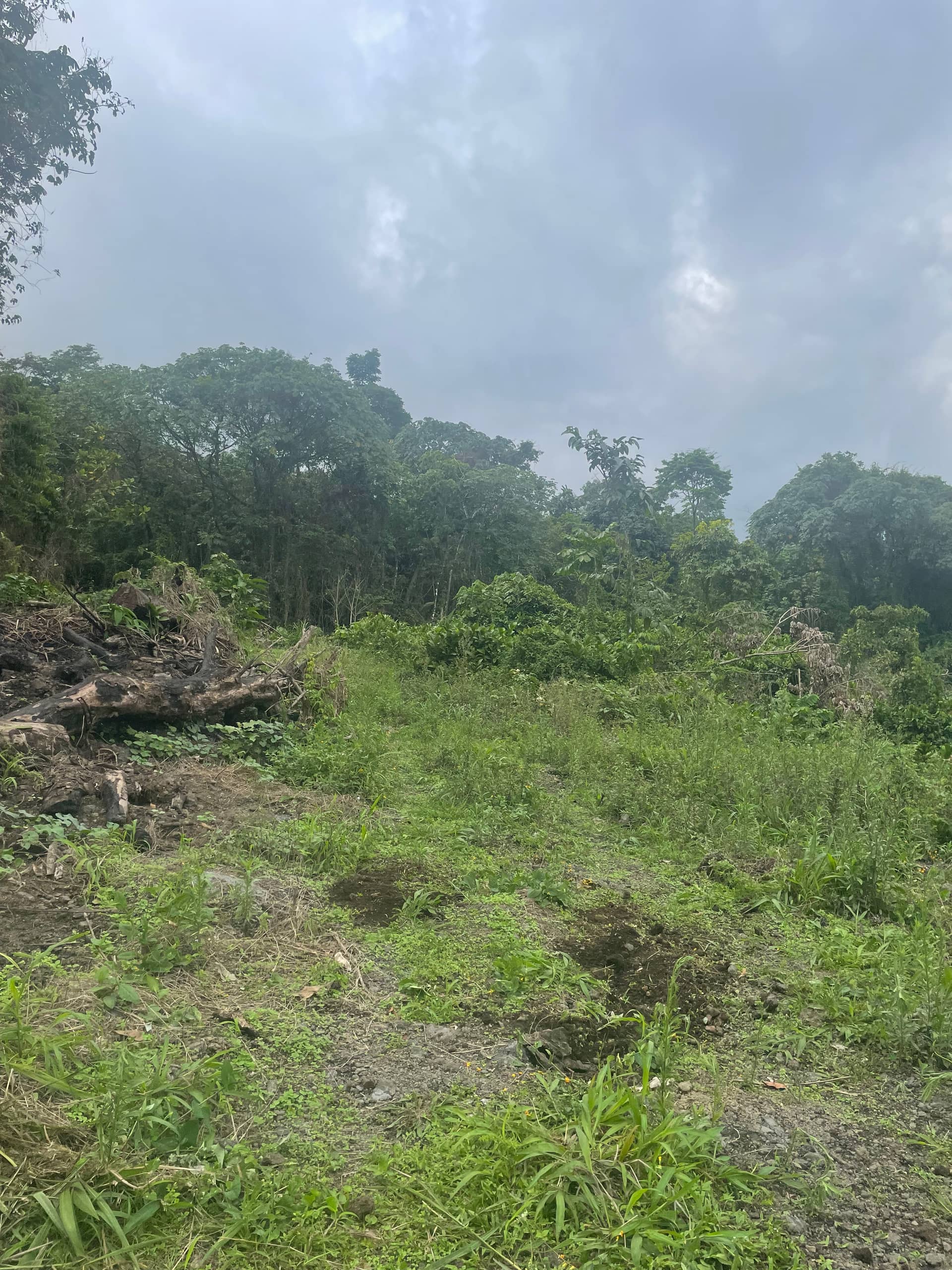Cheap strategic land for sale in Bova Buea  — photo 4
