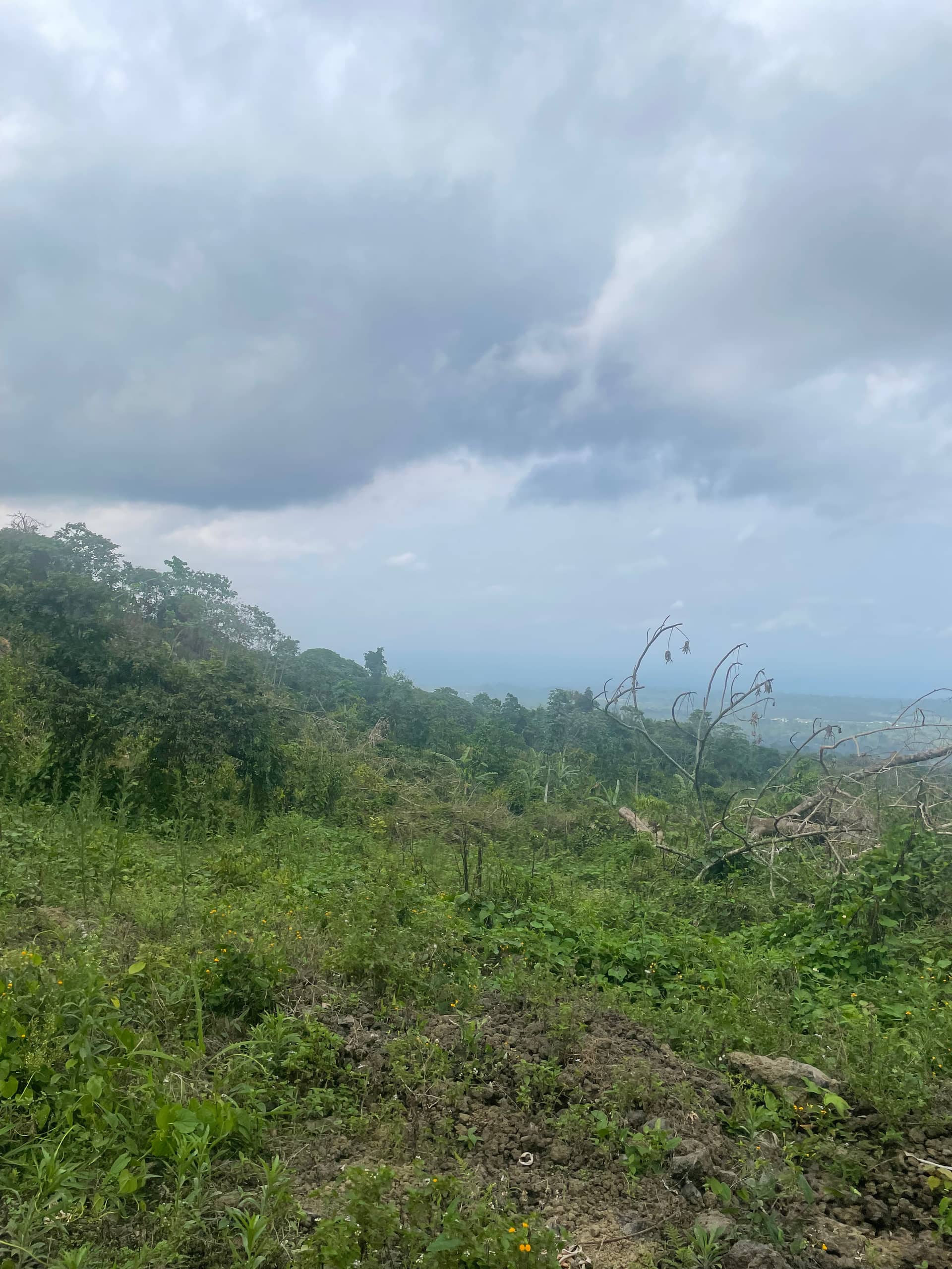 Cheap strategic land for sale in Bova Buea  — photo 5