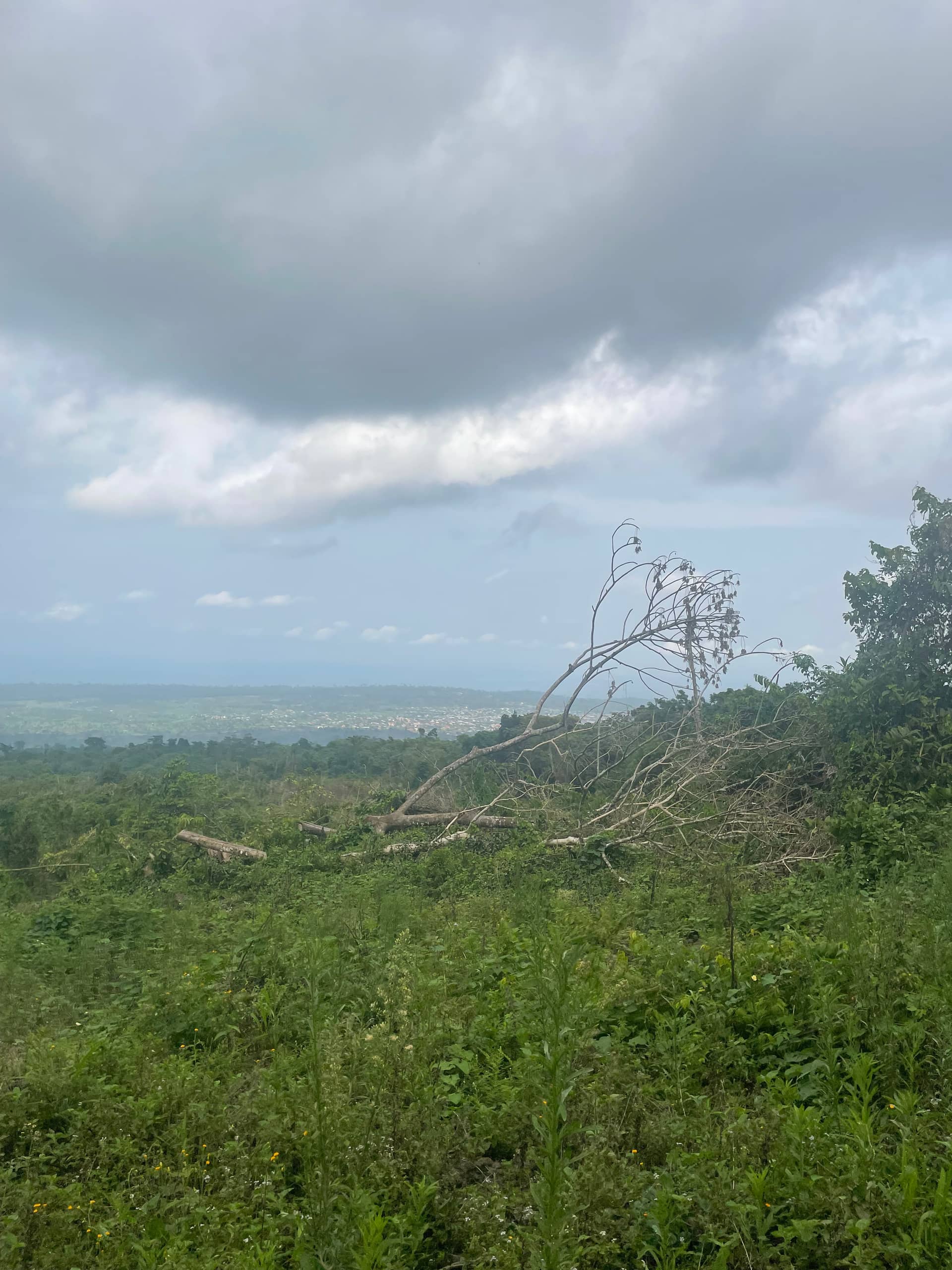 Cheap strategic land for sale in Bova Buea  — photo 6