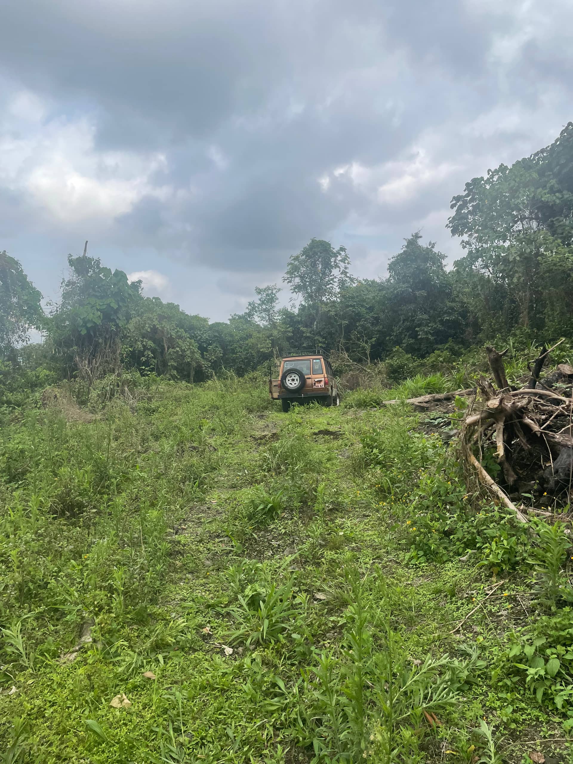 Cheap strategic land for sale in Bova Buea  — photo 7