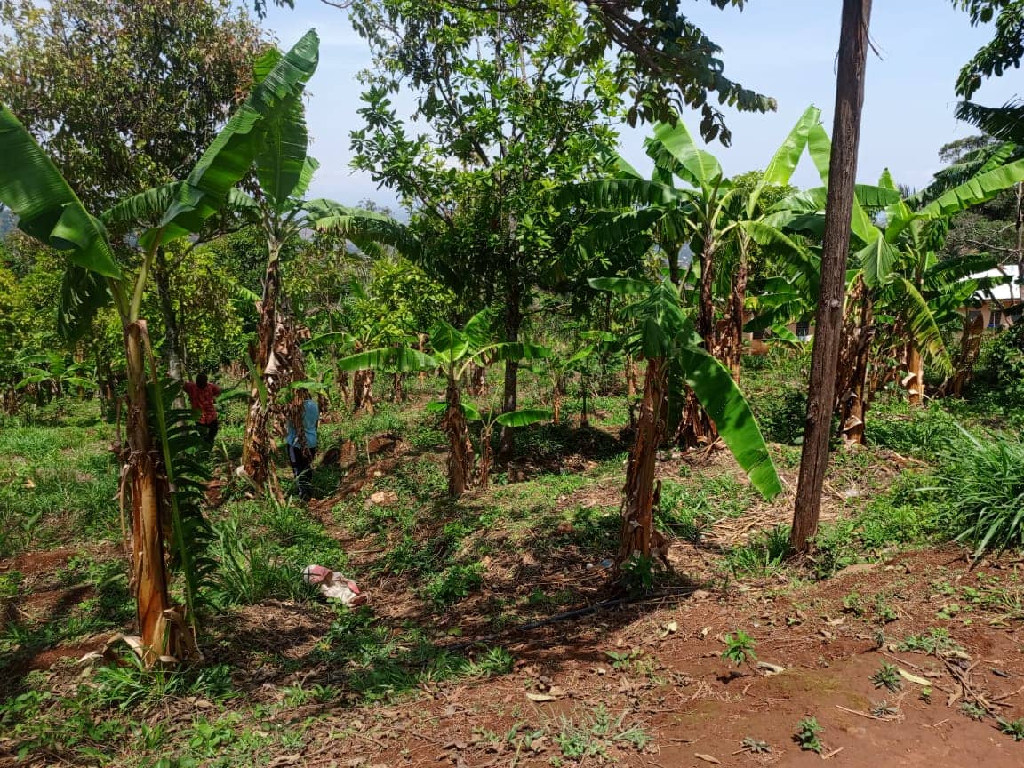 Plot and Land For sale