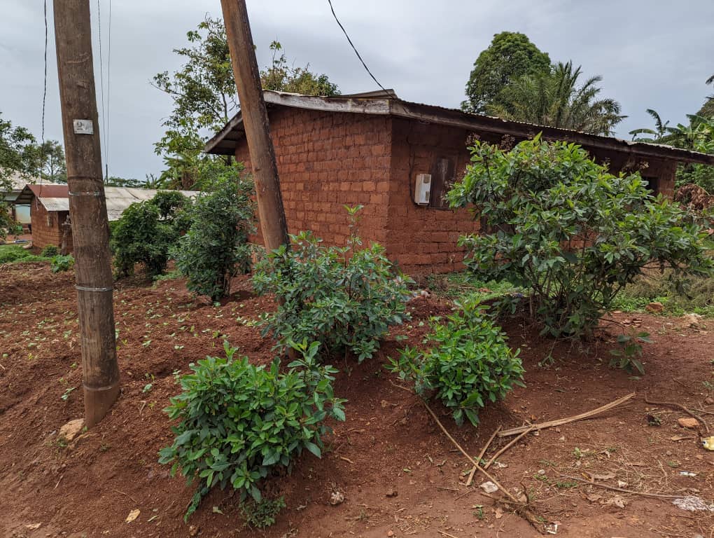 LAND FOR SALE 