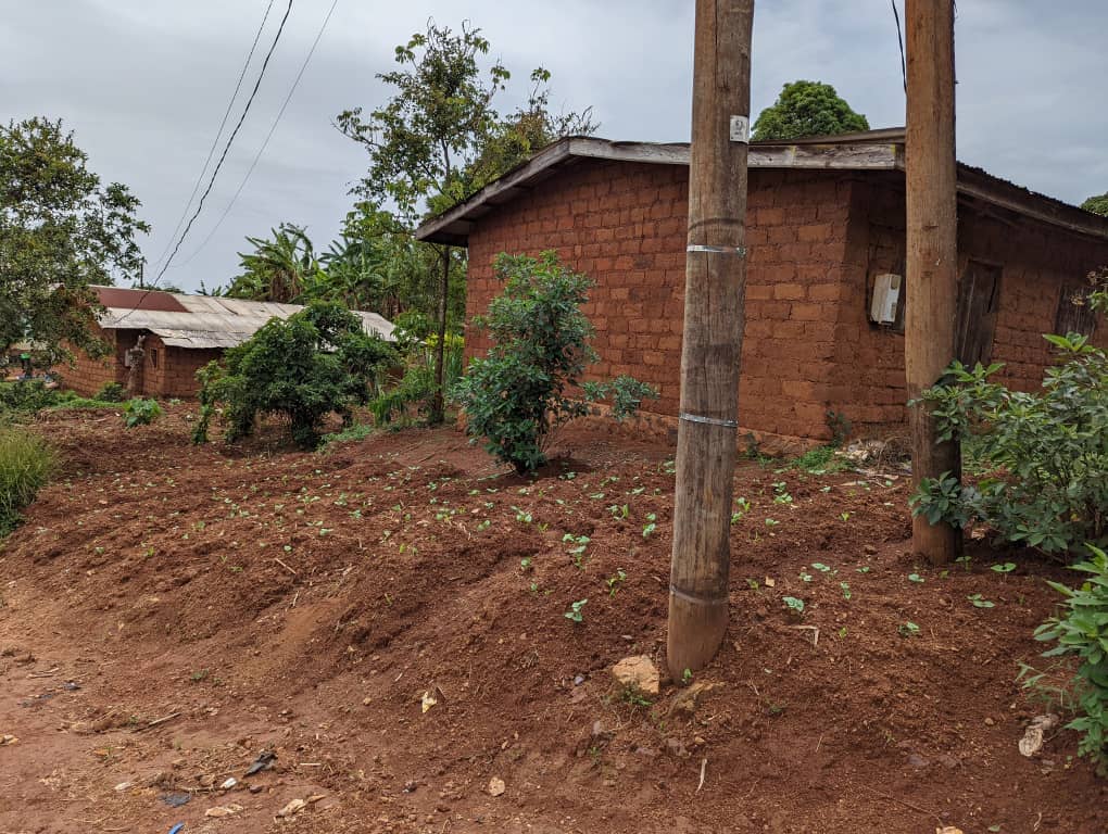 LAND FOR SALE  — photo 3