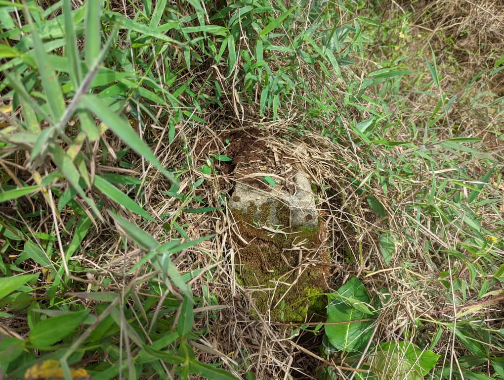 LAND FOR SALE  — photo 3