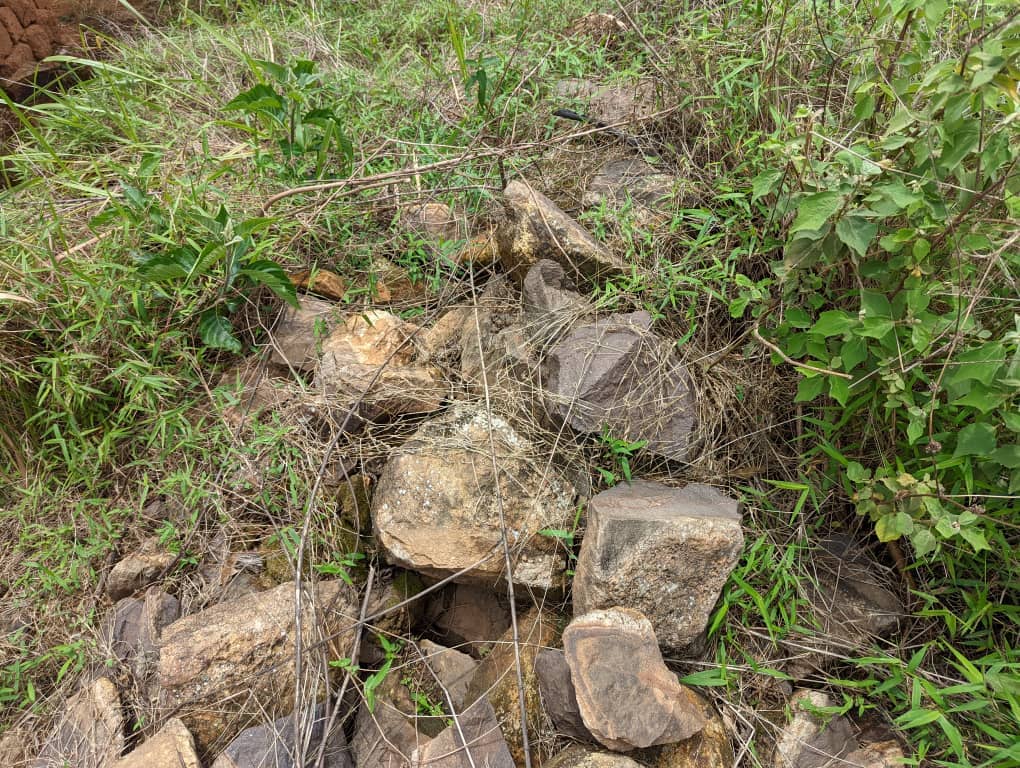 LAND FOR SALE  — photo 4