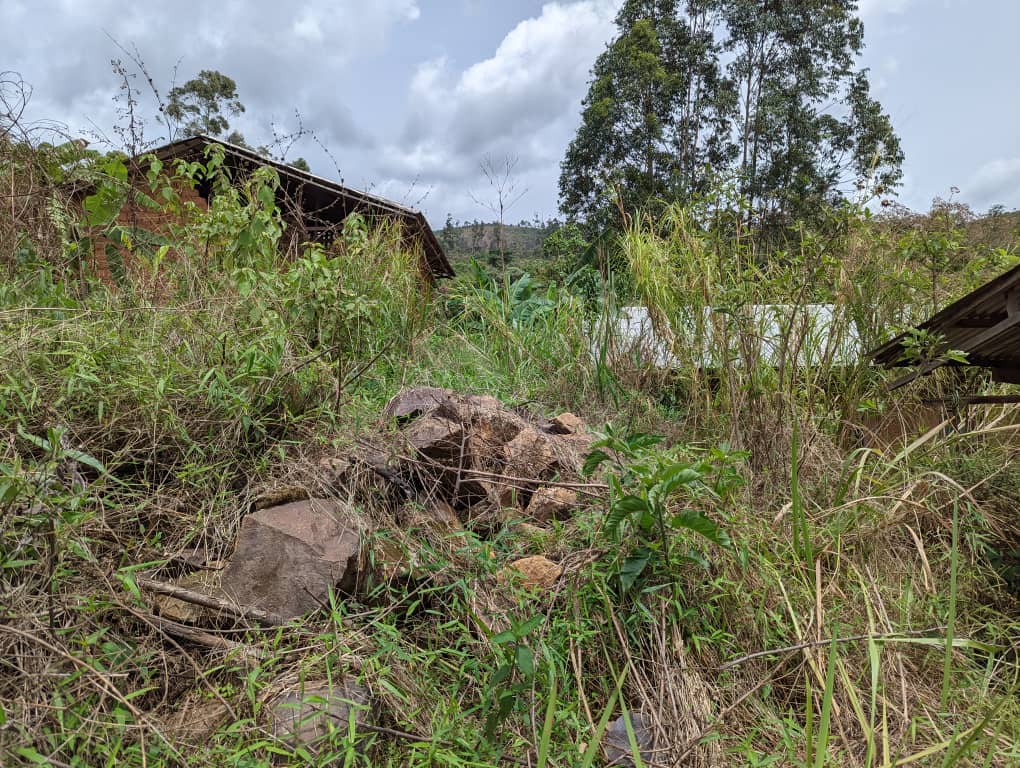 LAND FOR SALE  — photo 7