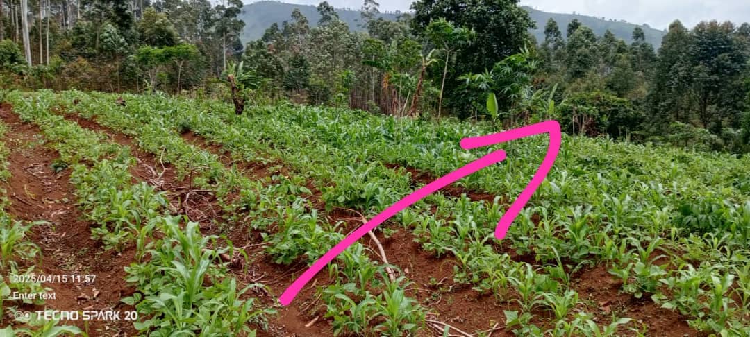 LAND FOR SALE 