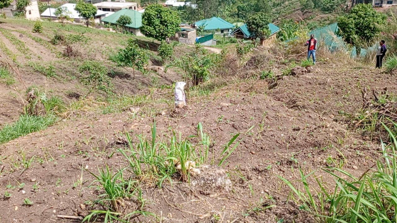 LAND FOR SALE  — photo 3