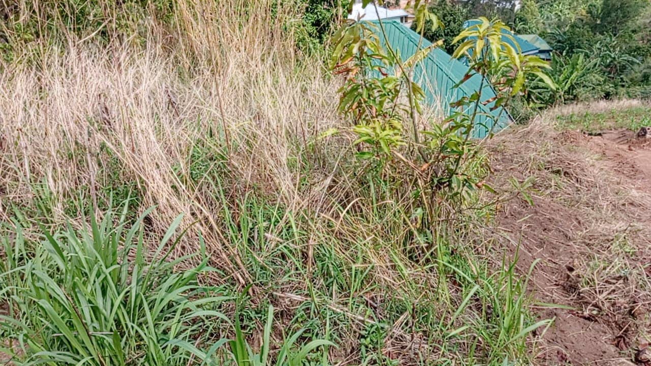 LAND FOR SALE  — photo 5