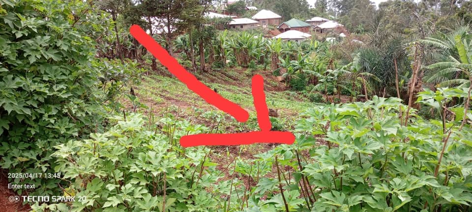 LAND FOR SALE 