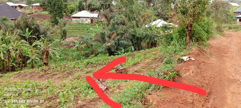 LAND FOR SALE  — photo 4