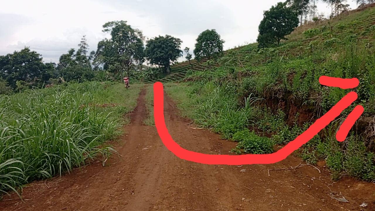 LAND FOR SALE 